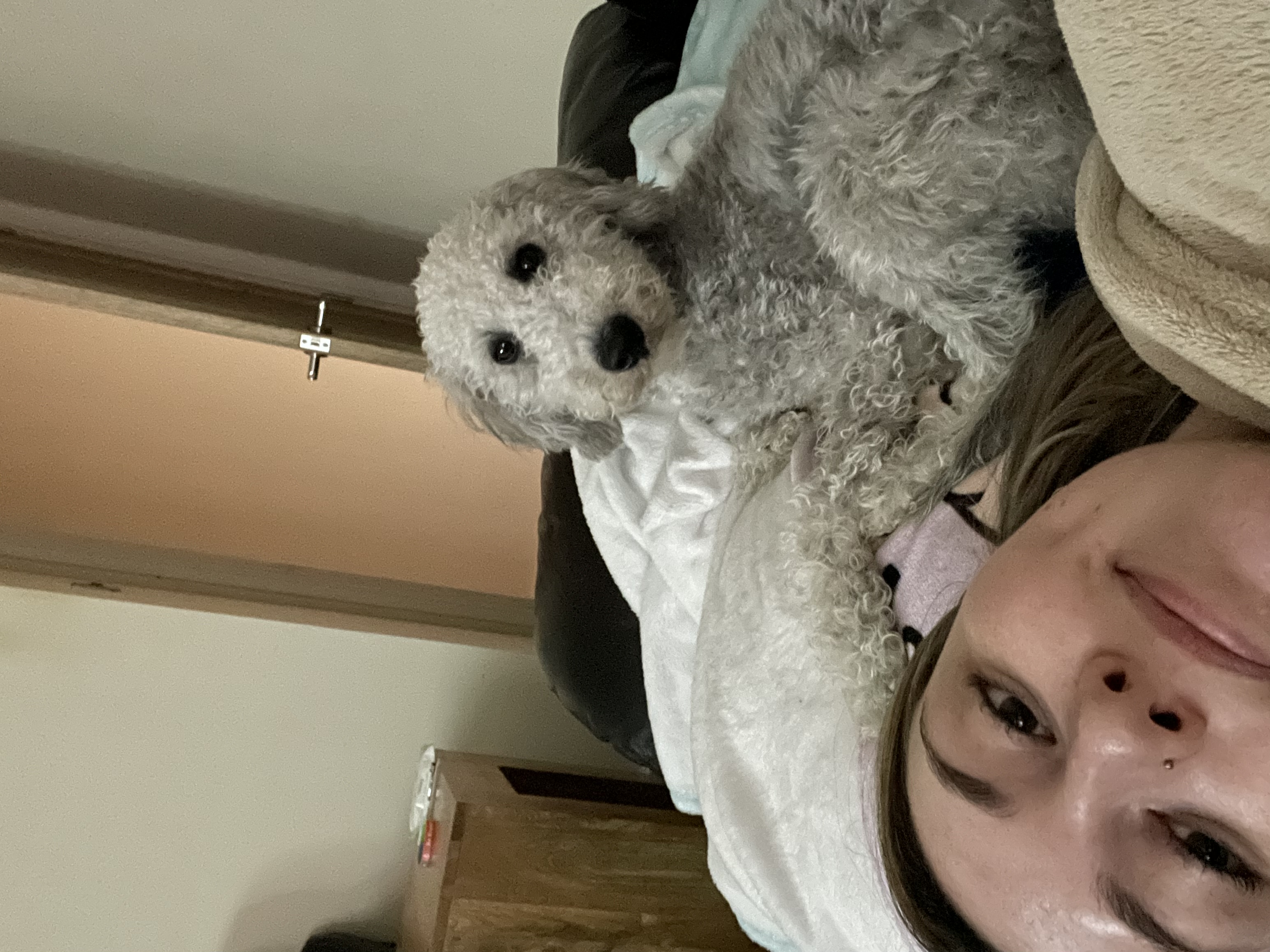 image-4