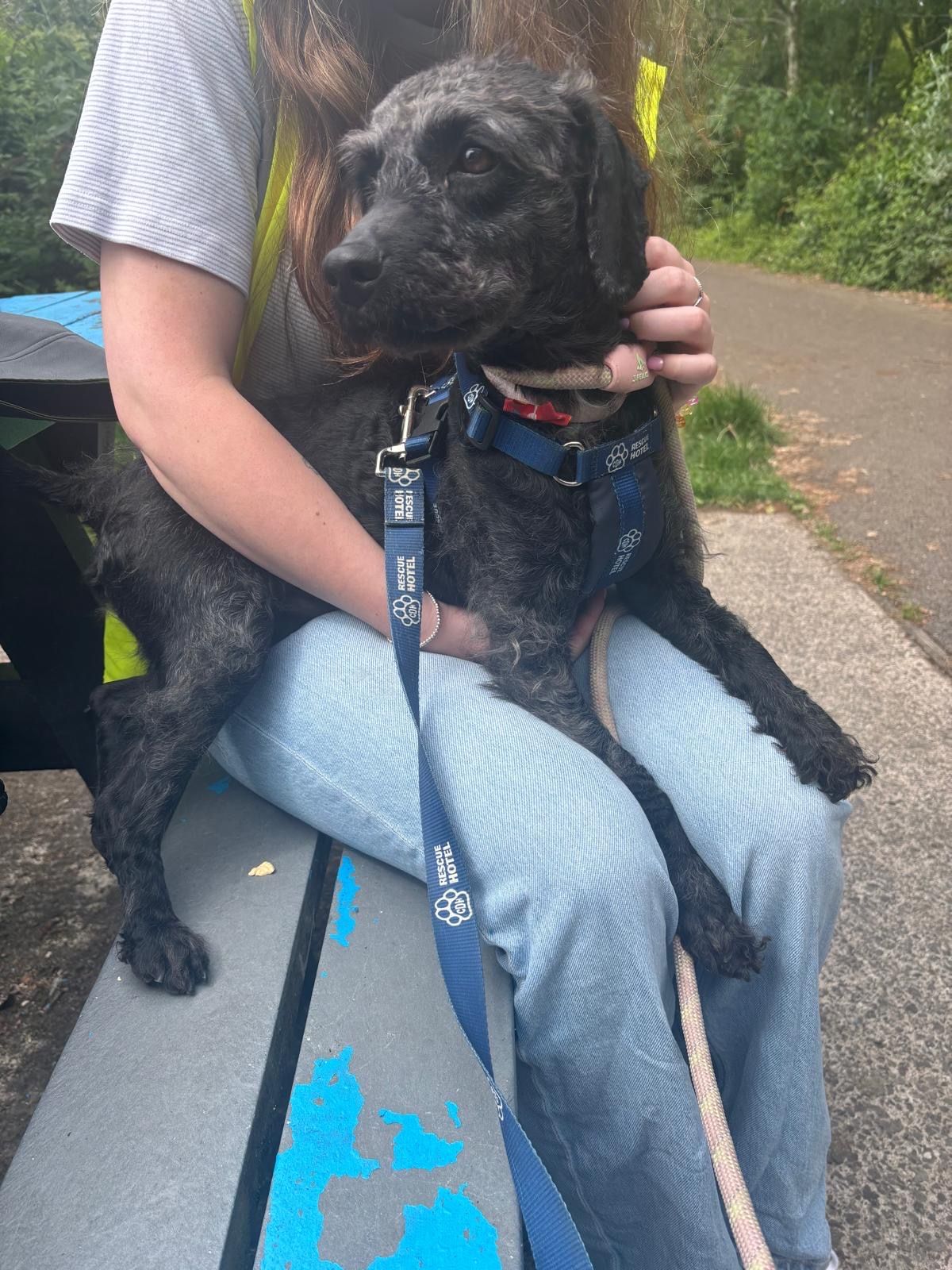 image-6
