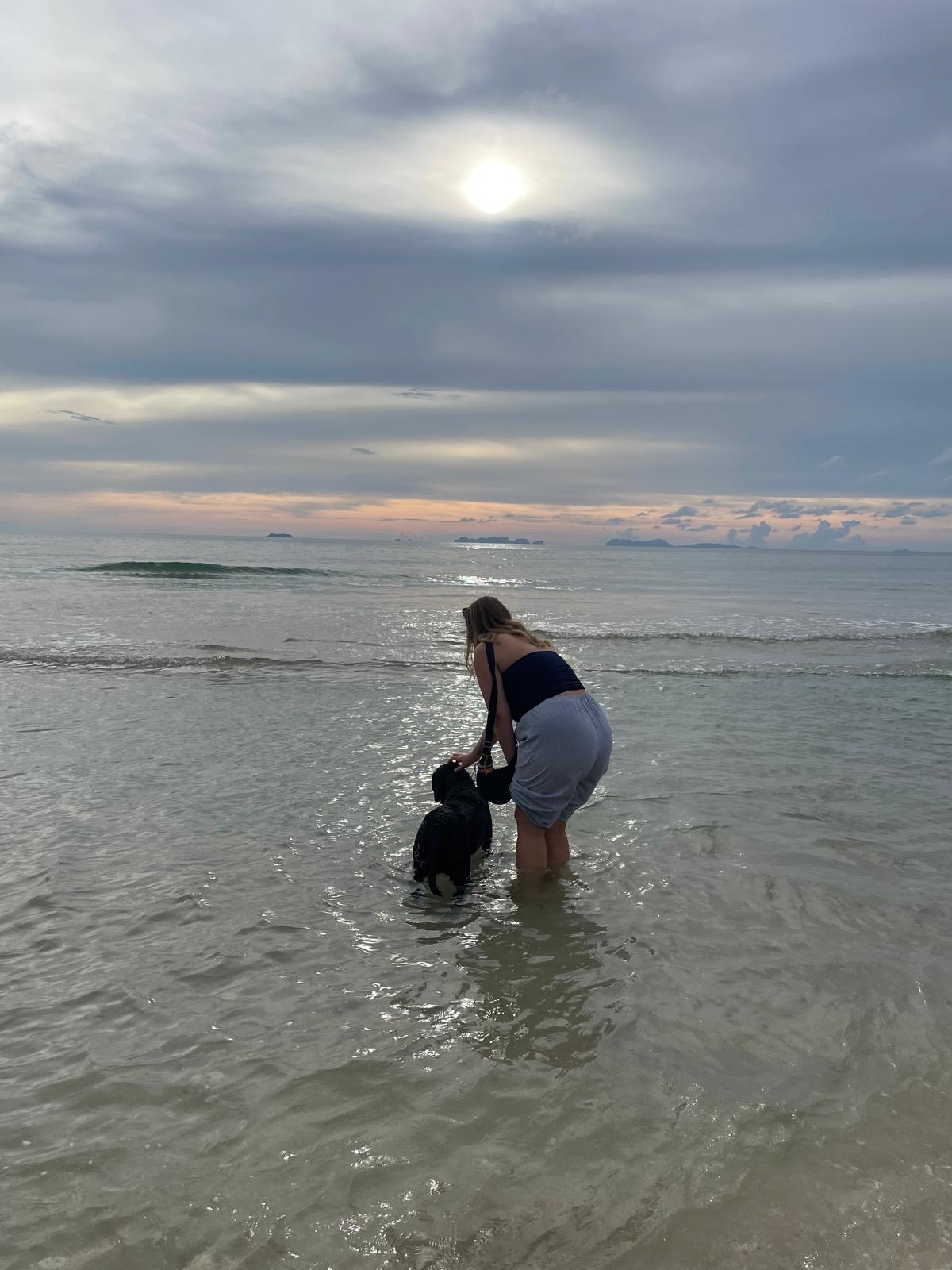 image-8