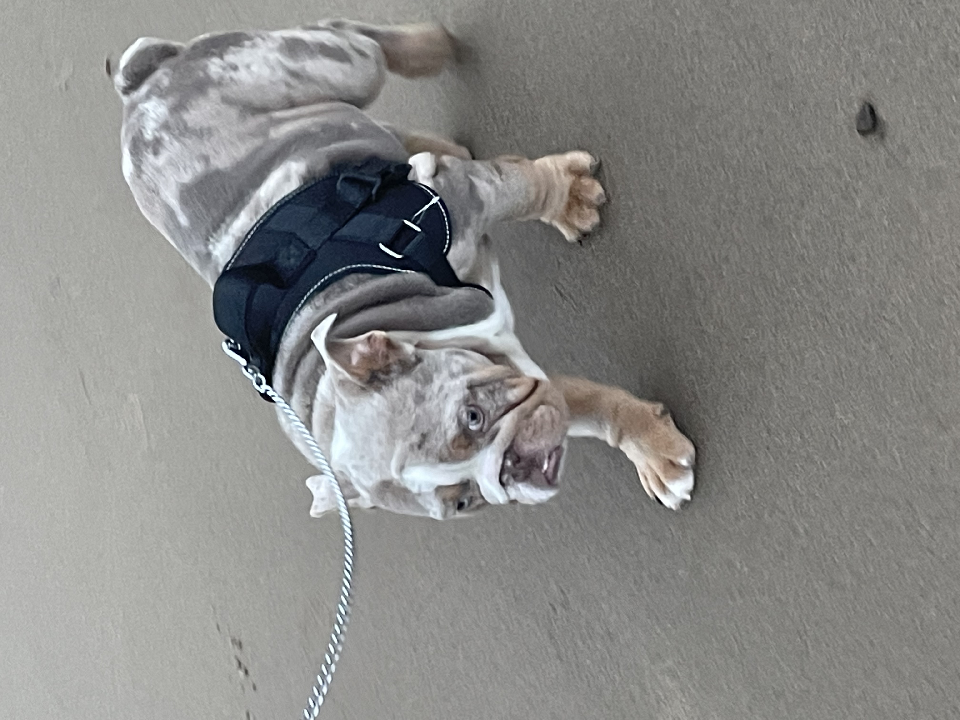 image-13