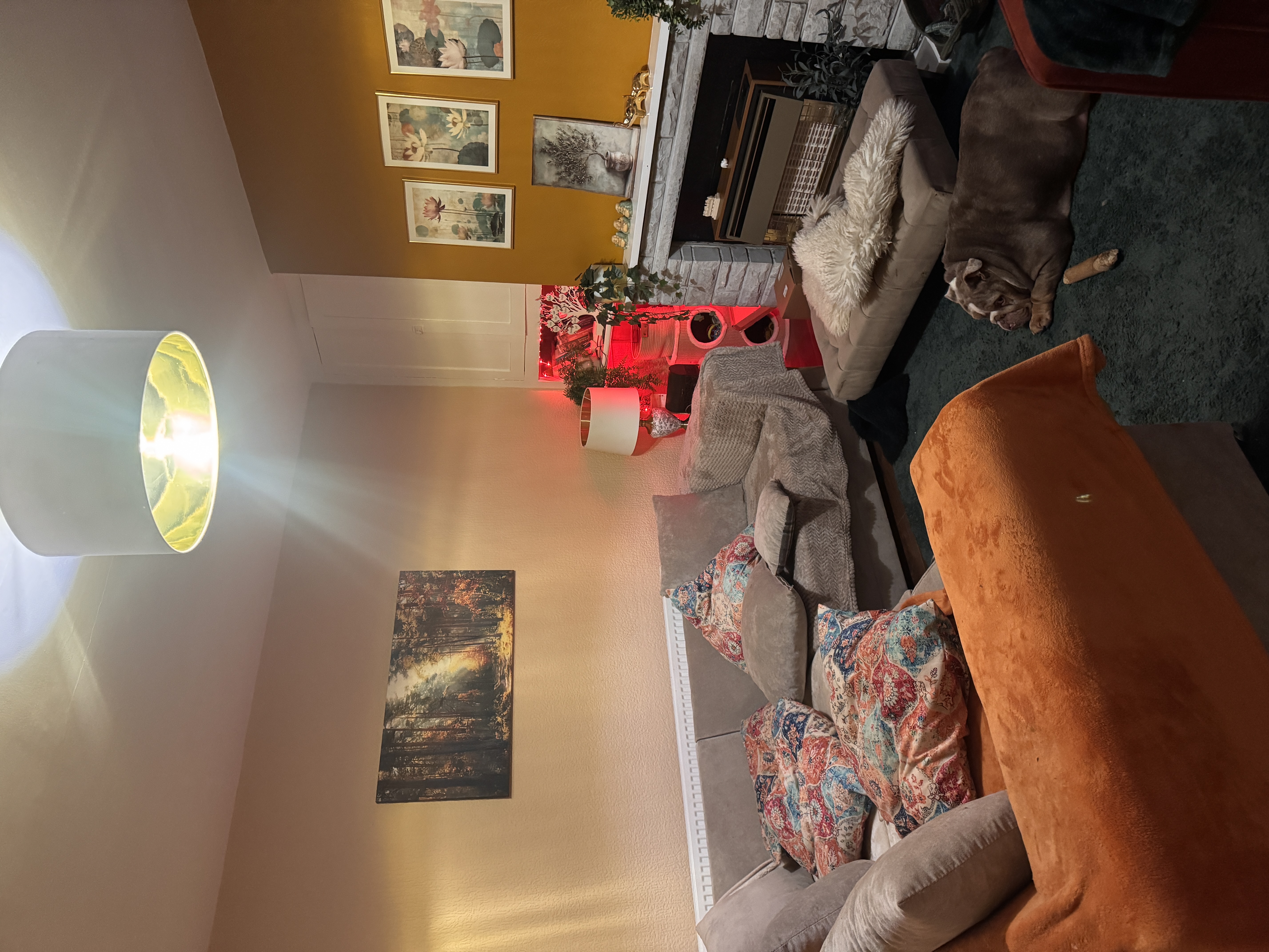 image-20