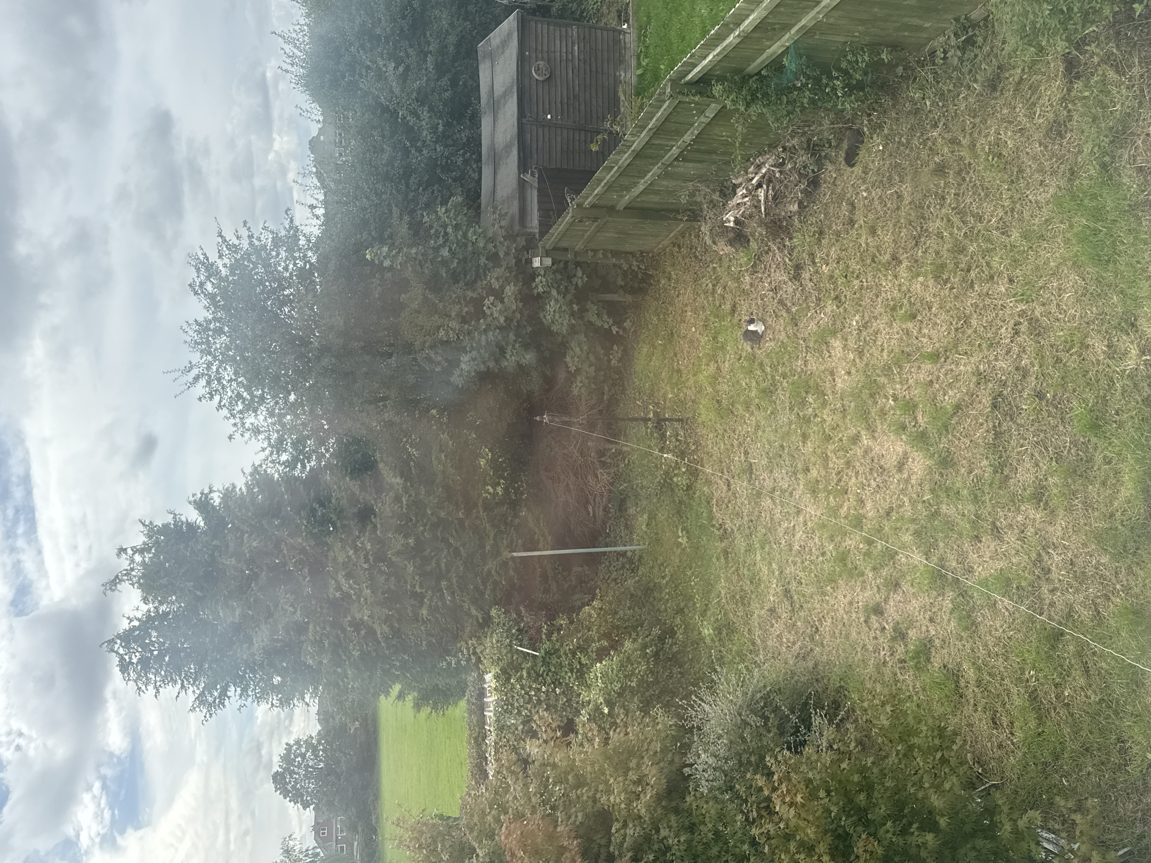image-19