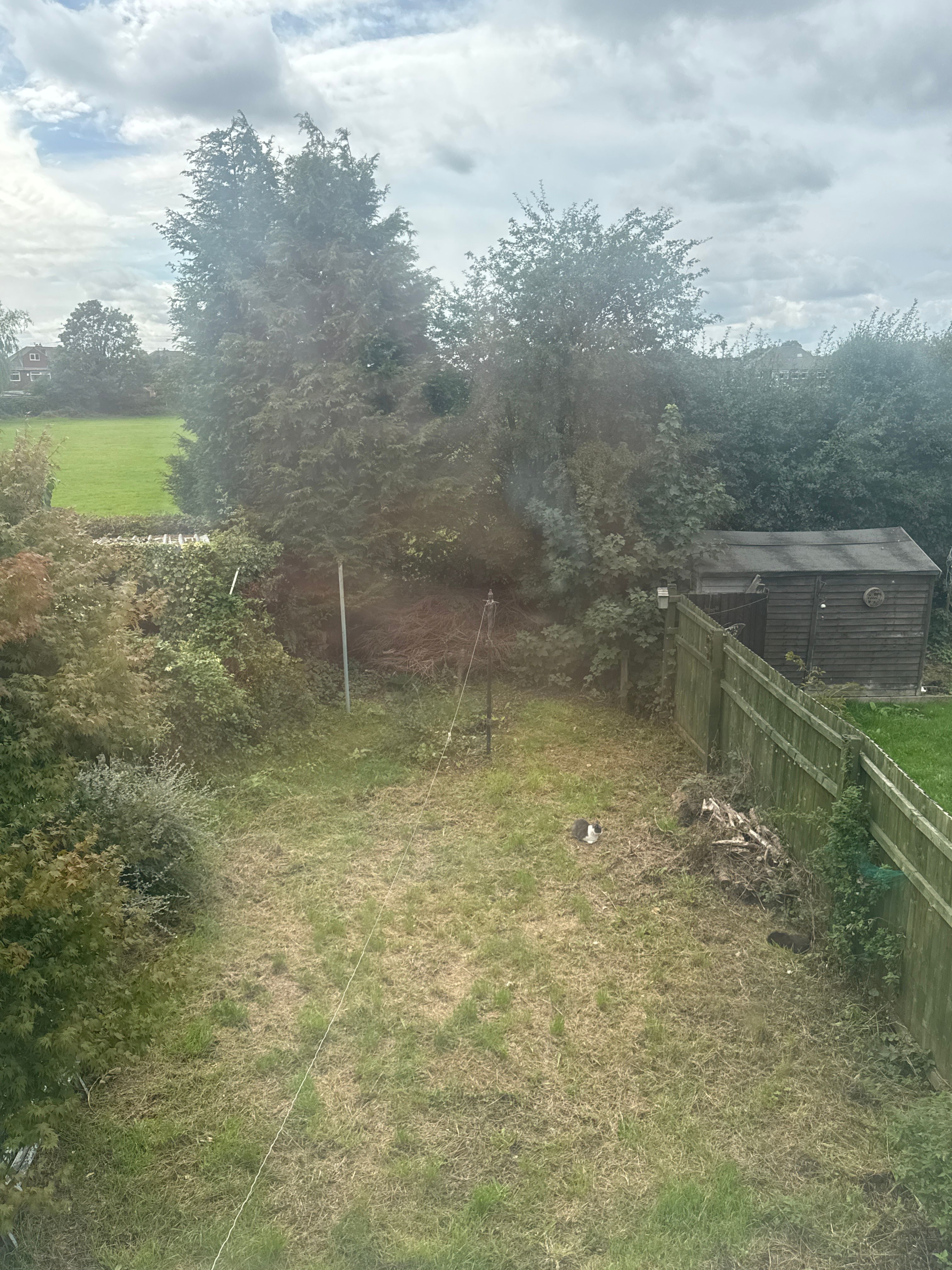 image-19