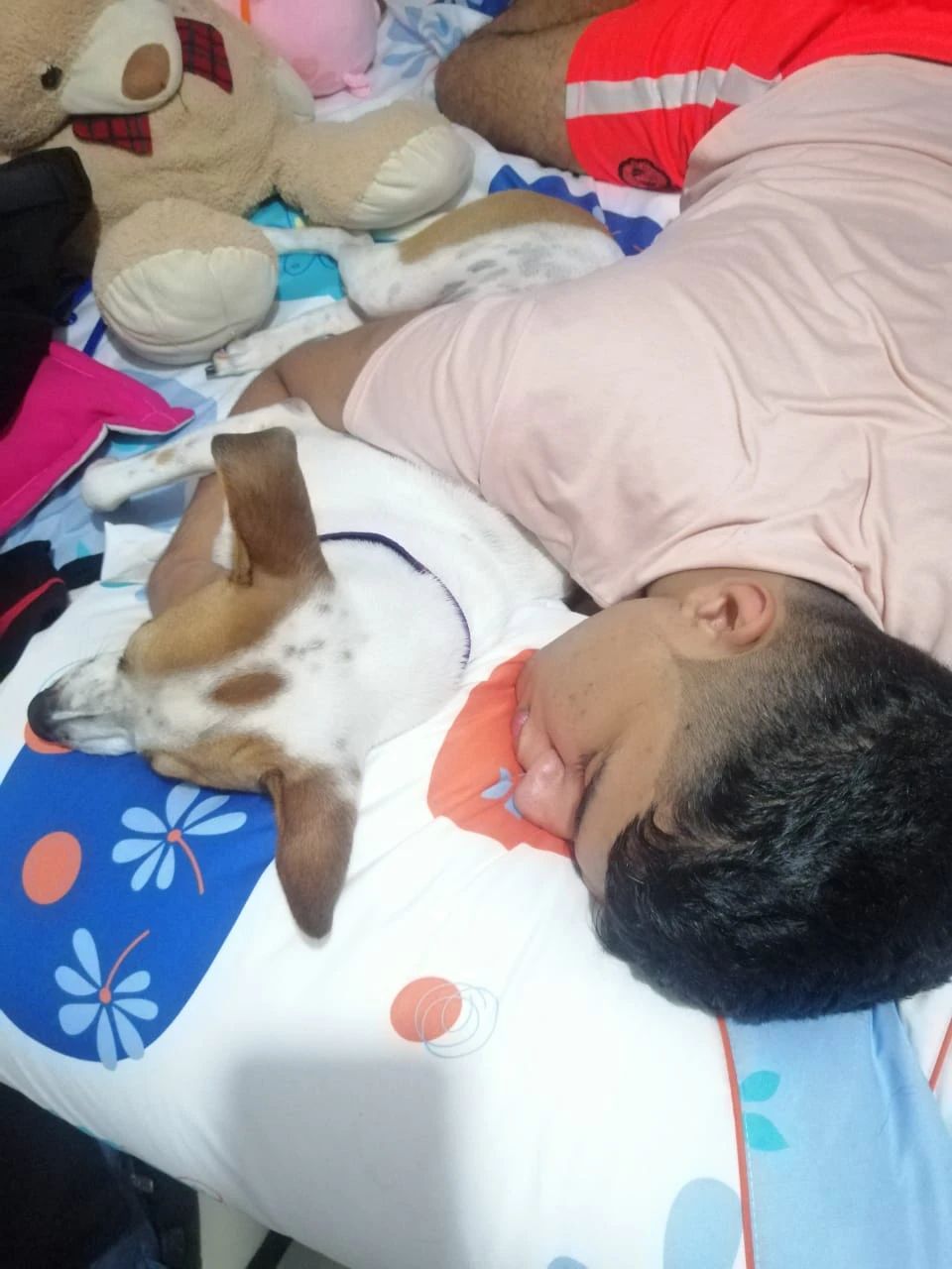 image-1