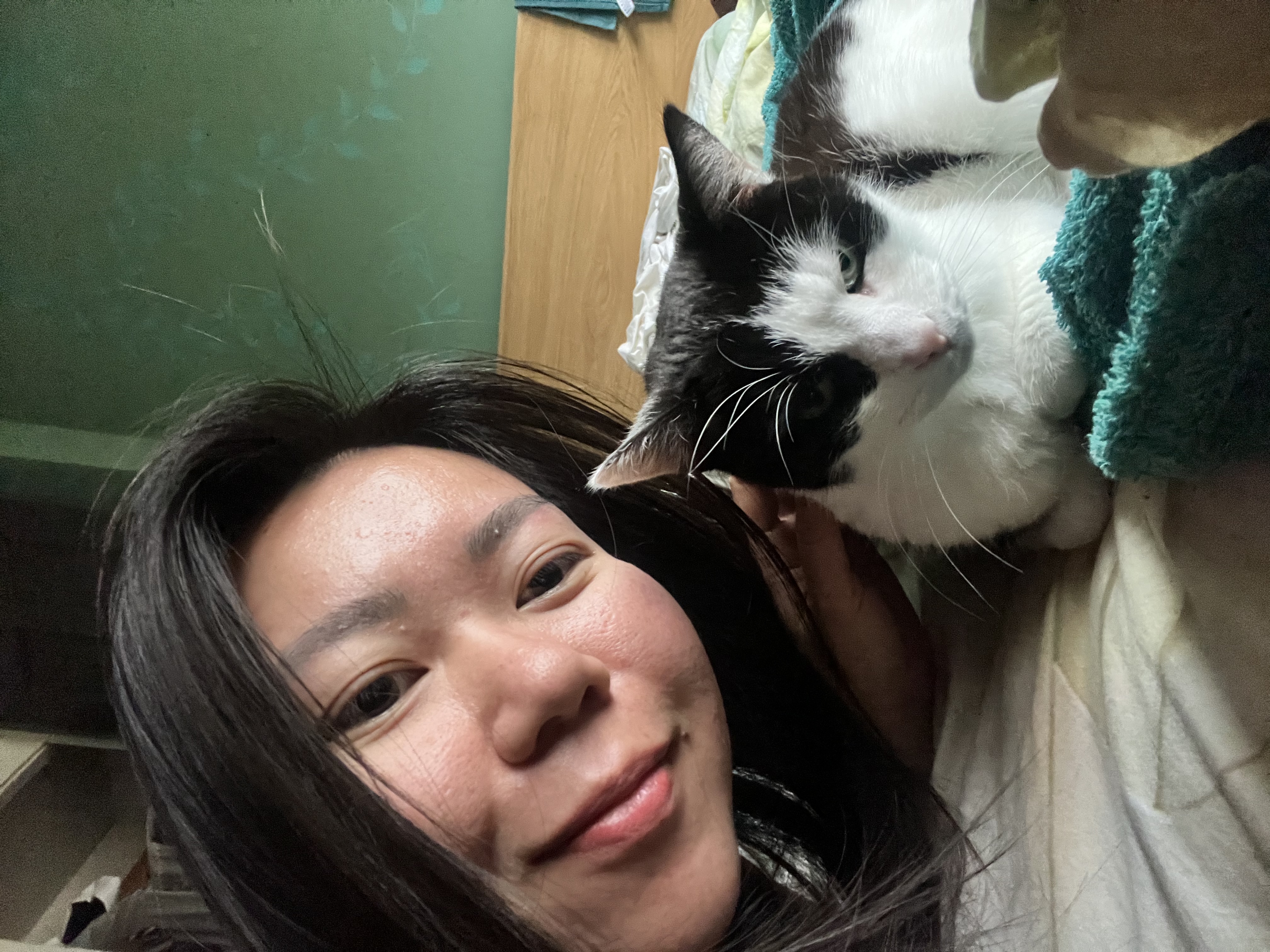 image-25