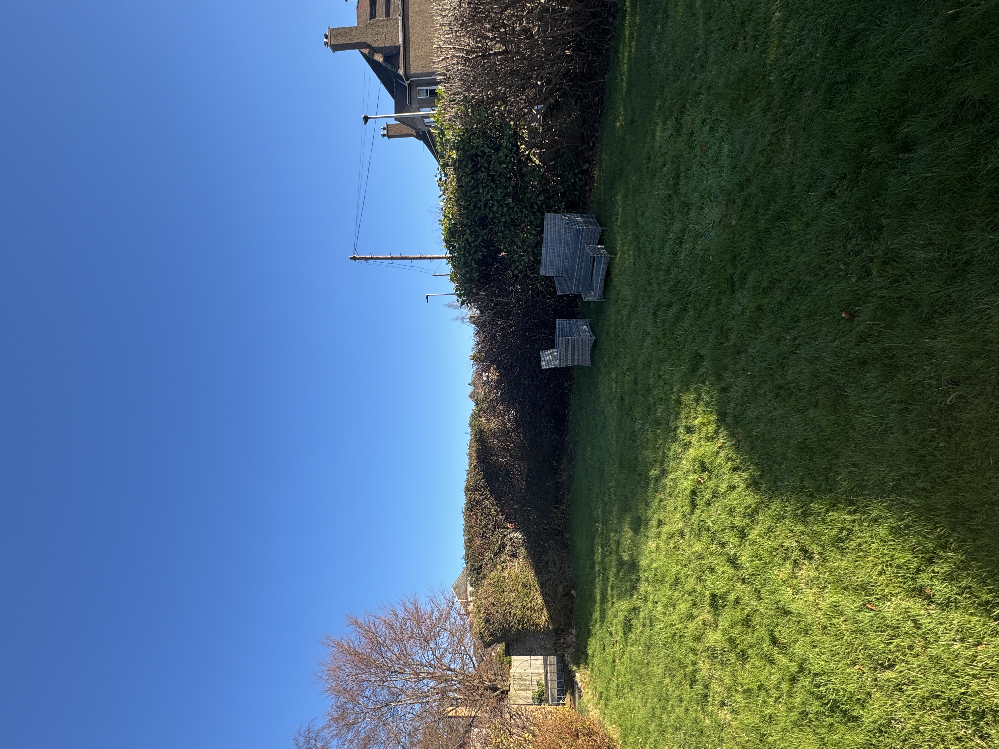 image-20
