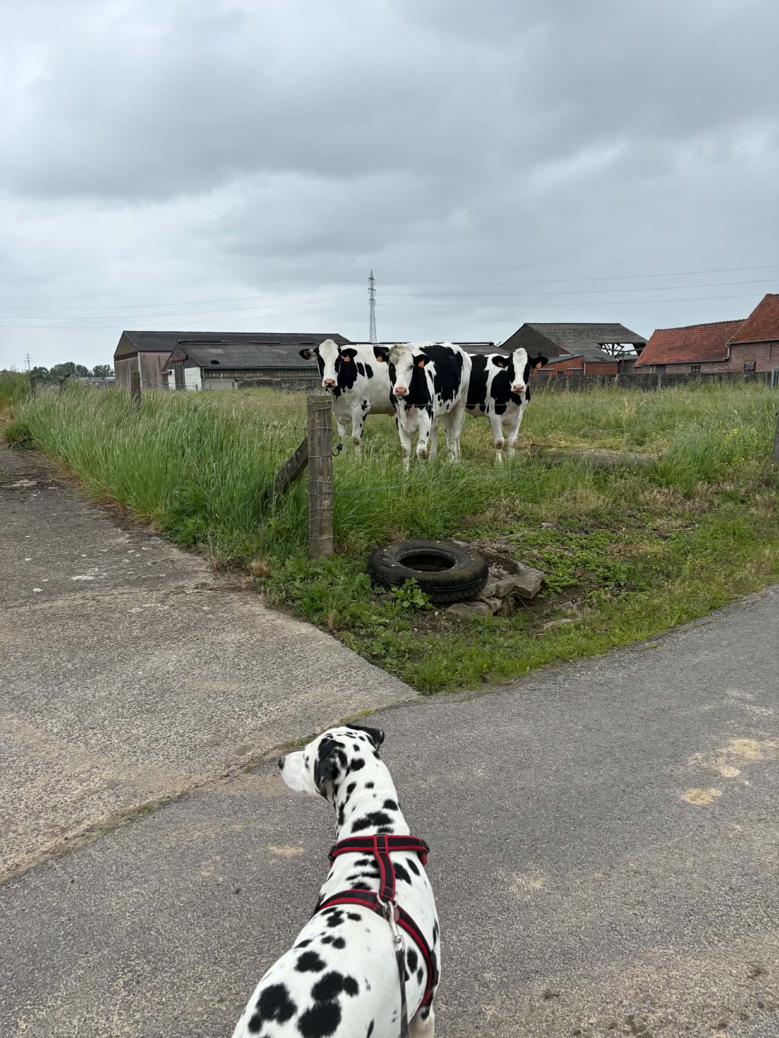 image-9