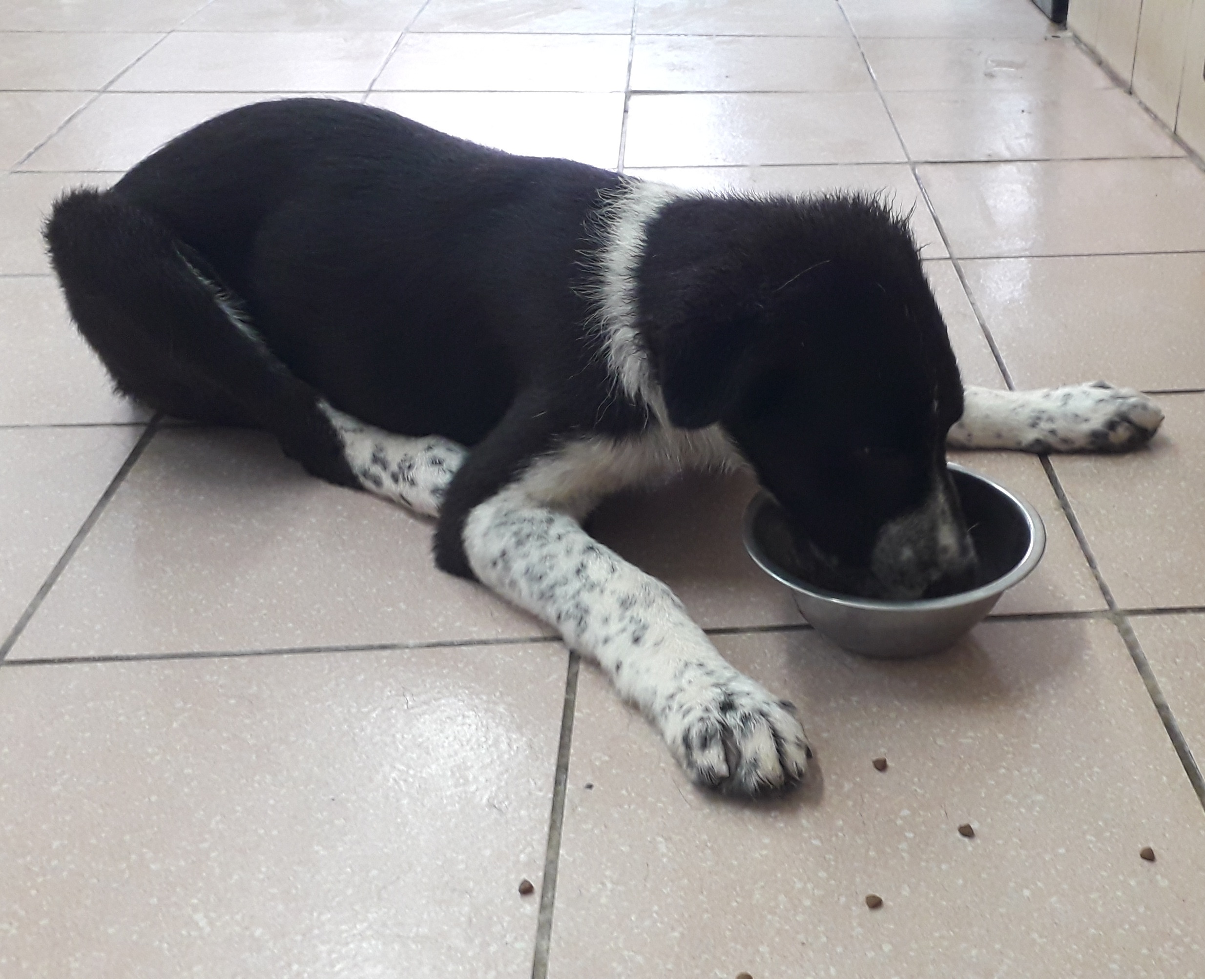 image-11