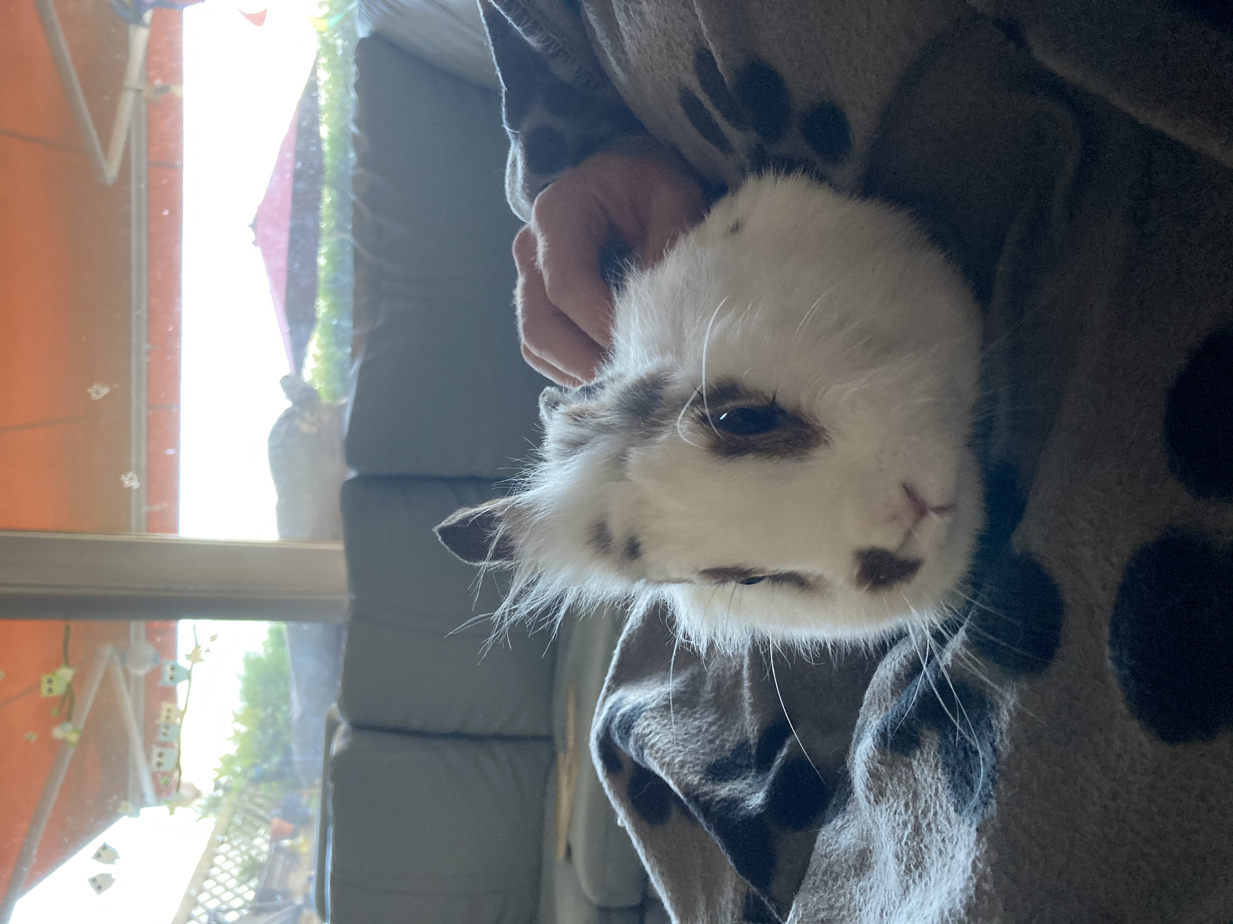 image-6