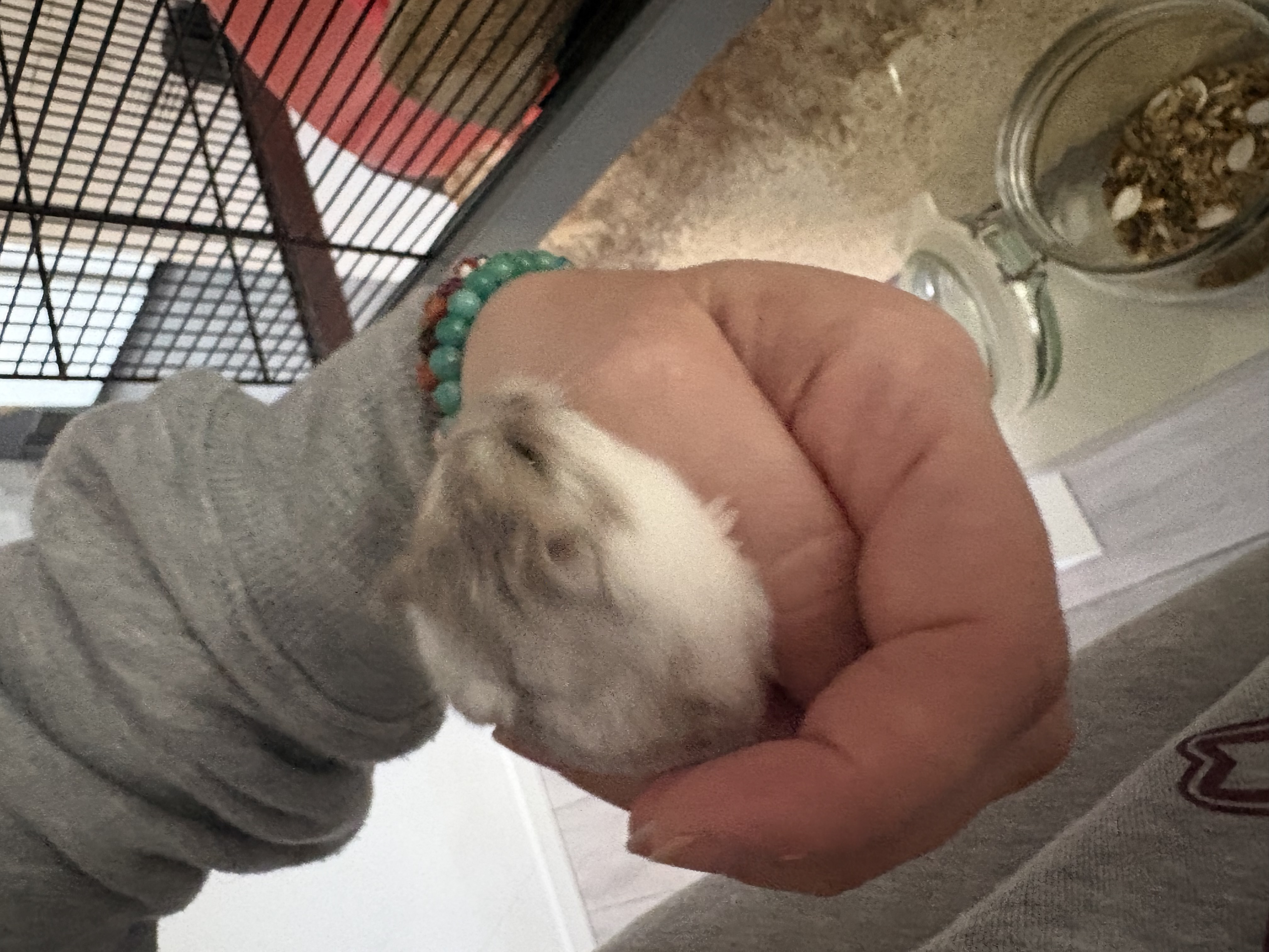 image-7