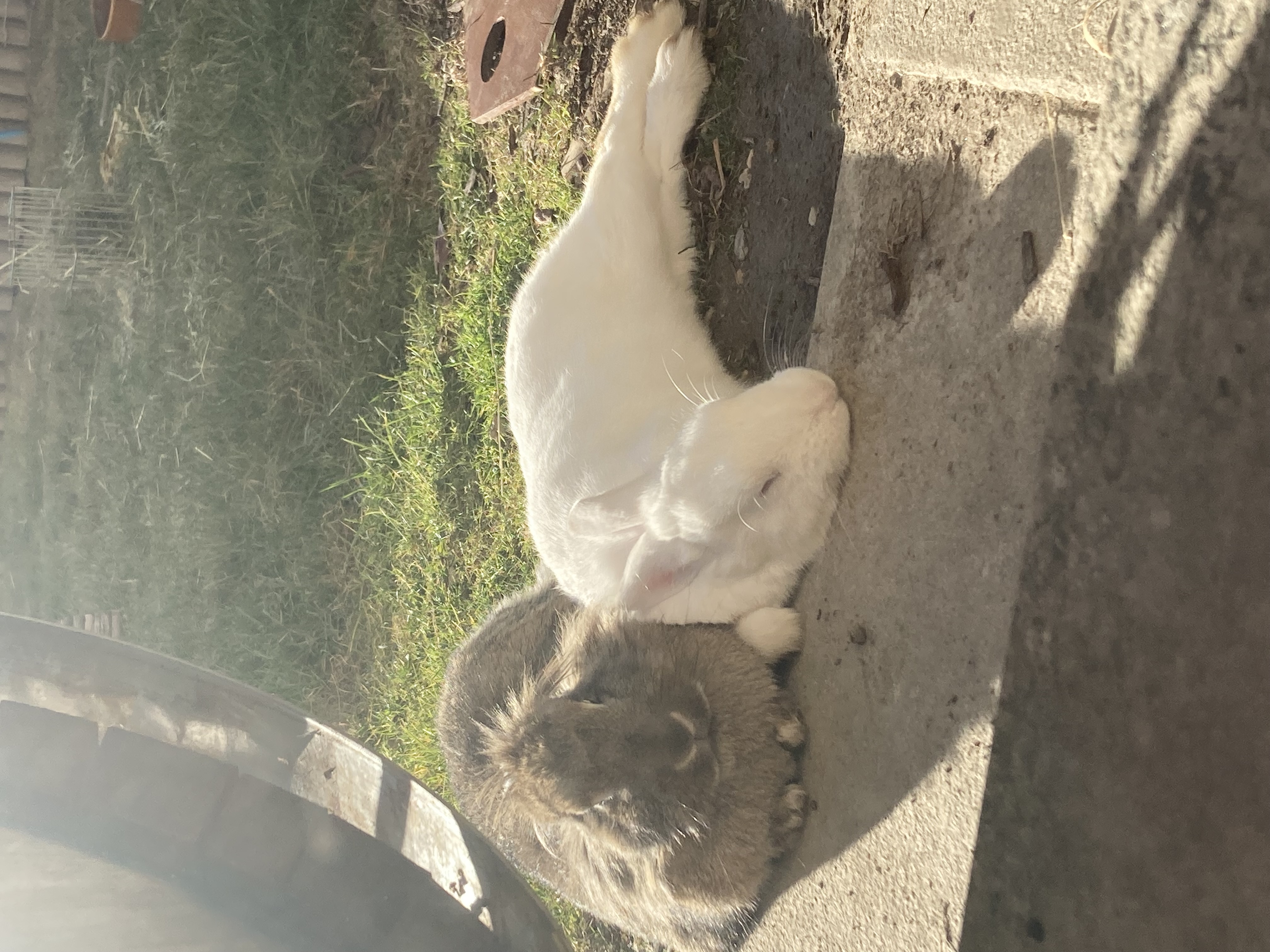 image-5