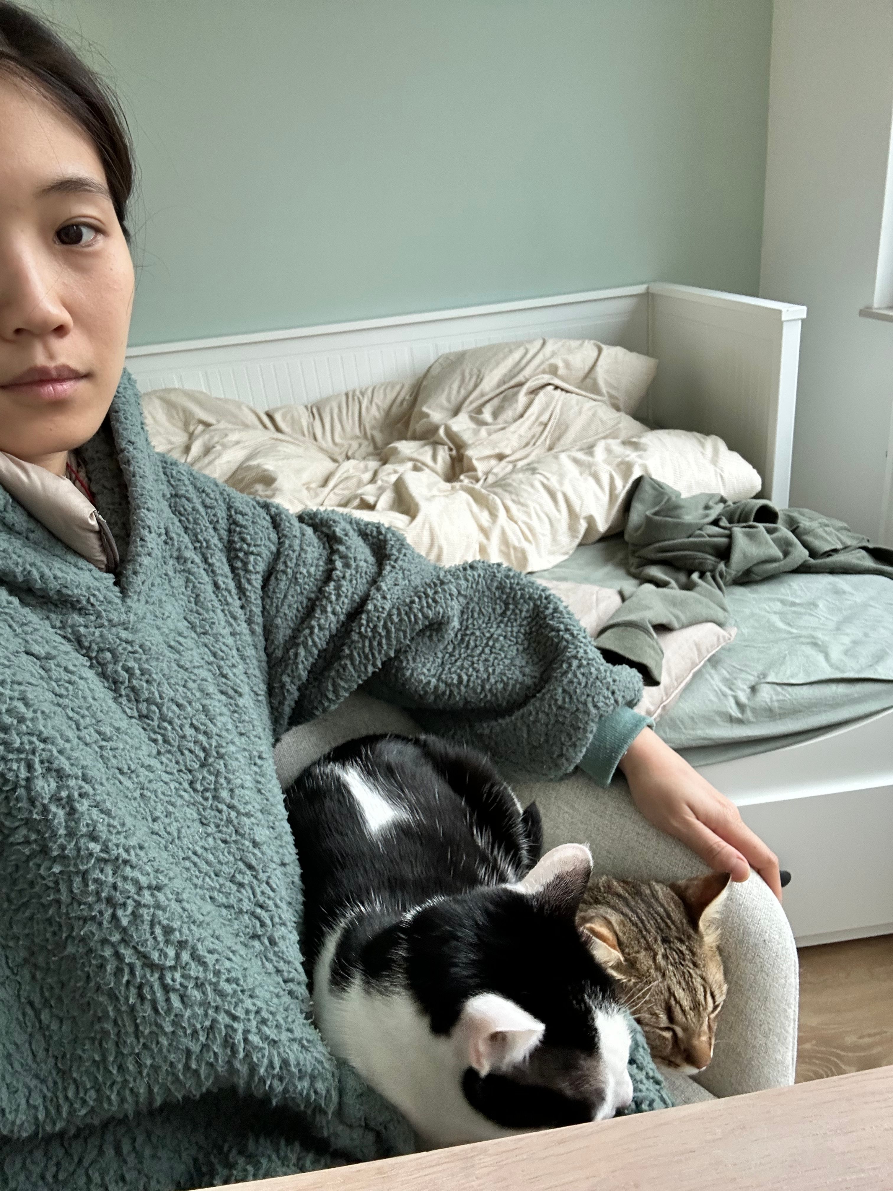 image-5
