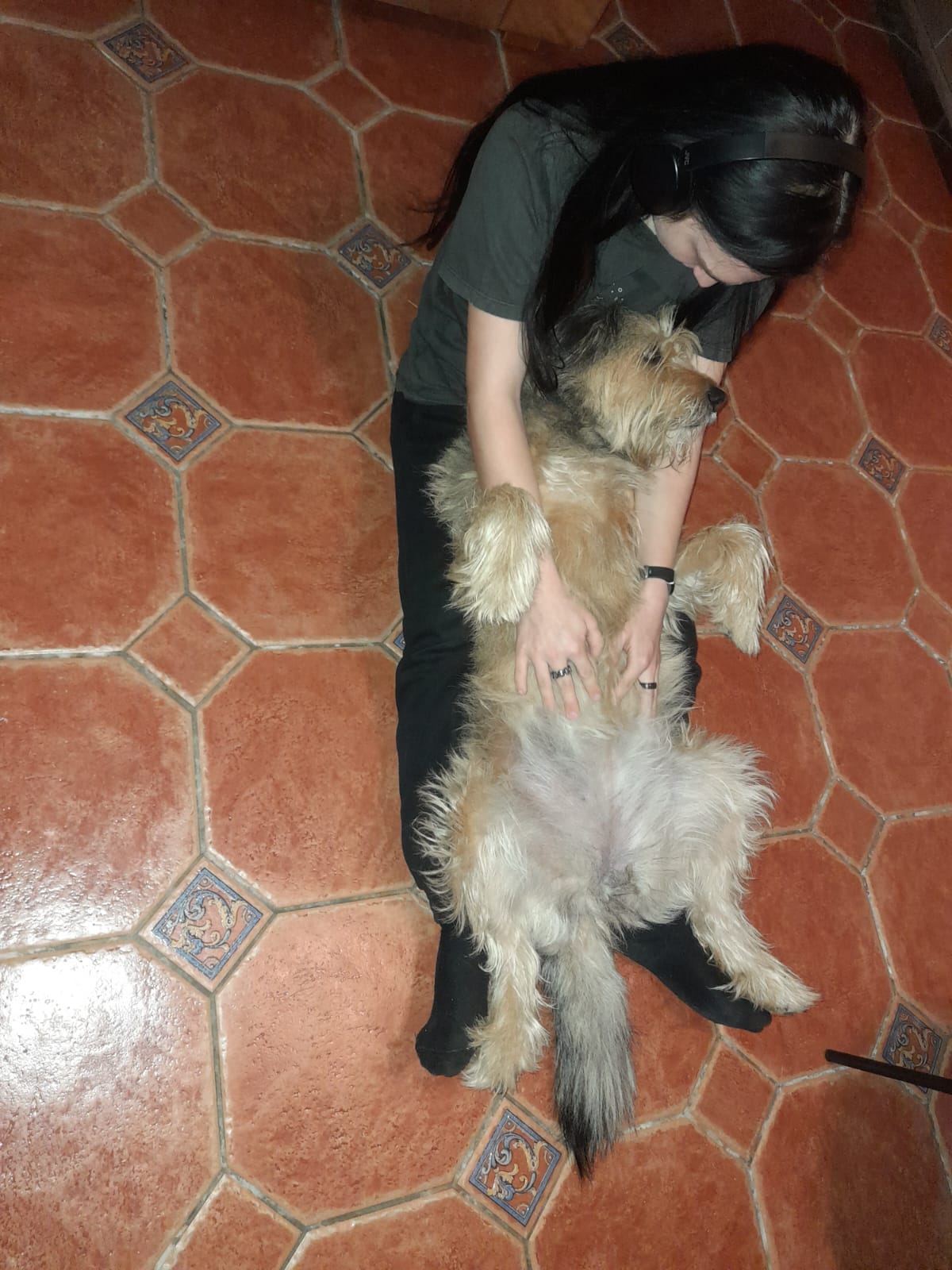 image-8