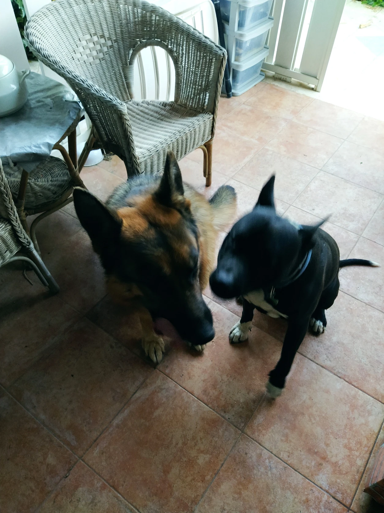 image-13