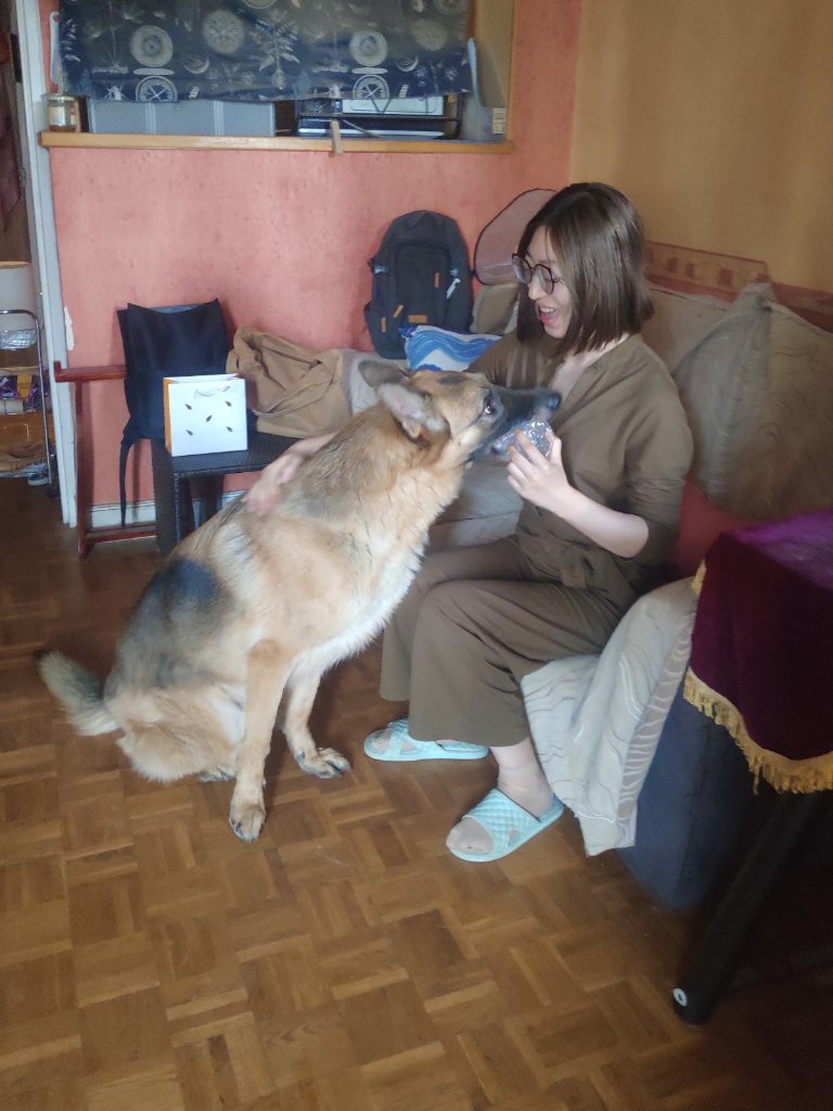 image-2