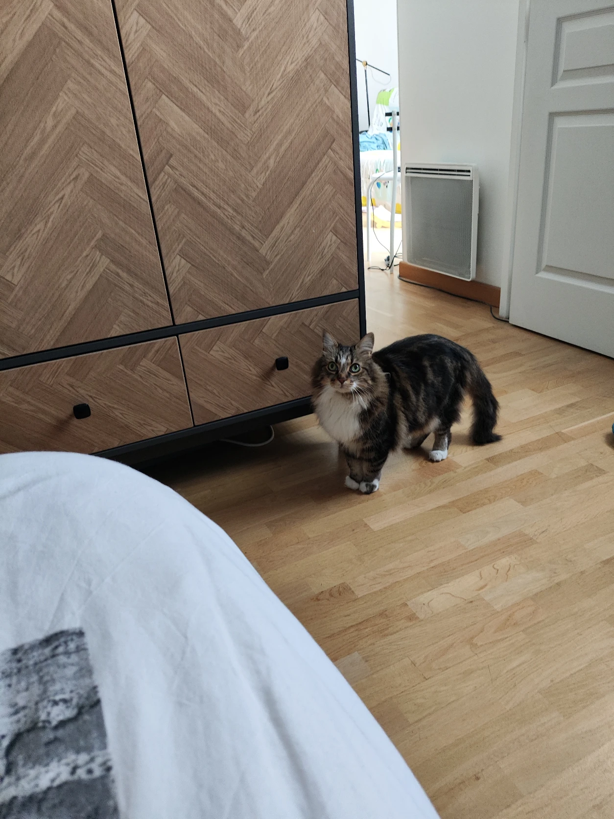 image-7