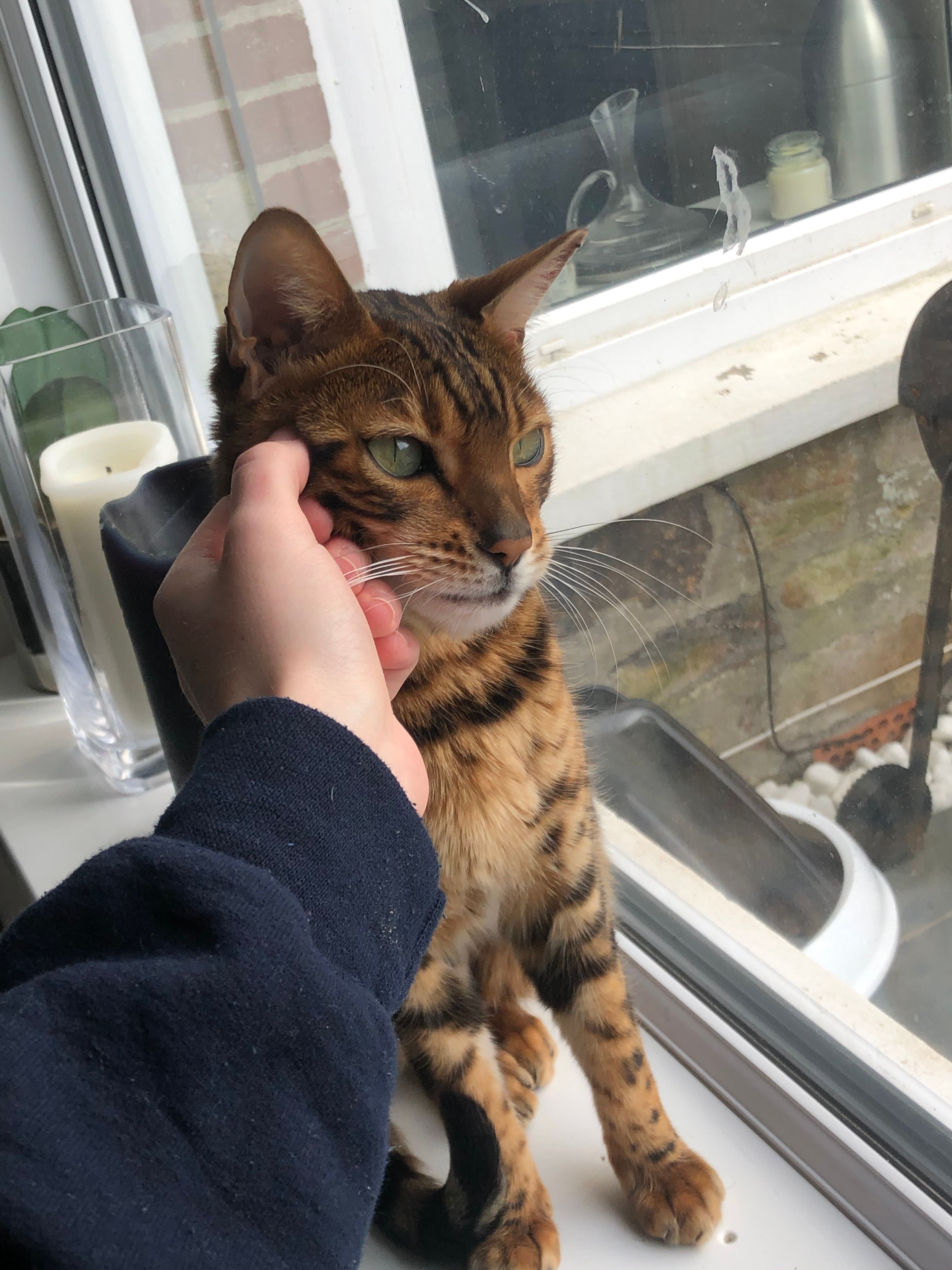 image-8