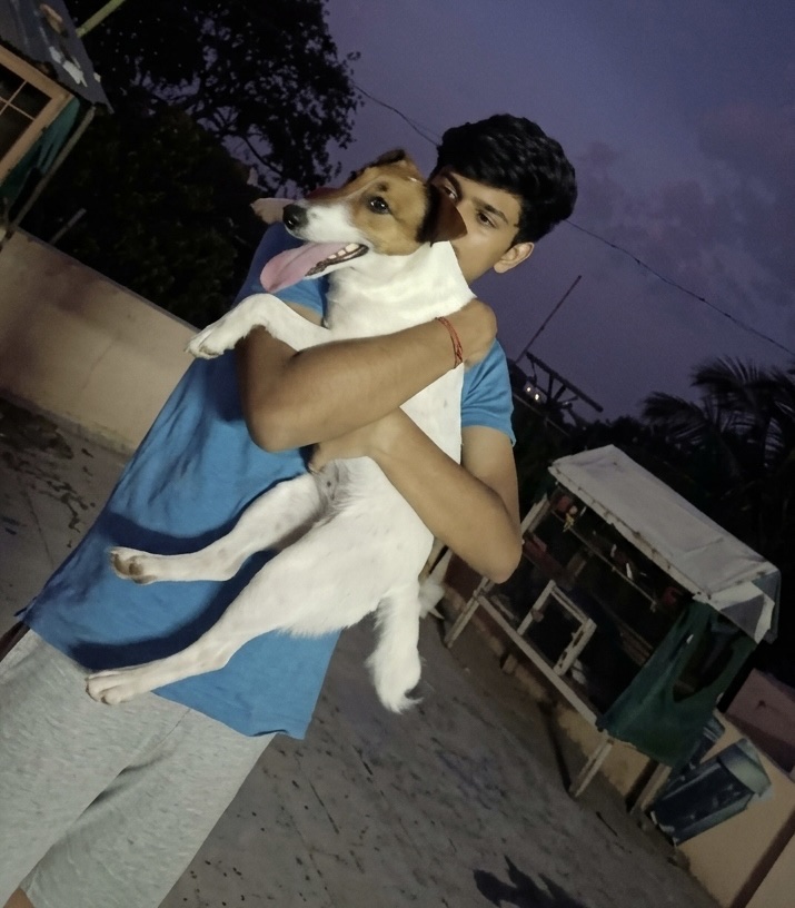 image-7