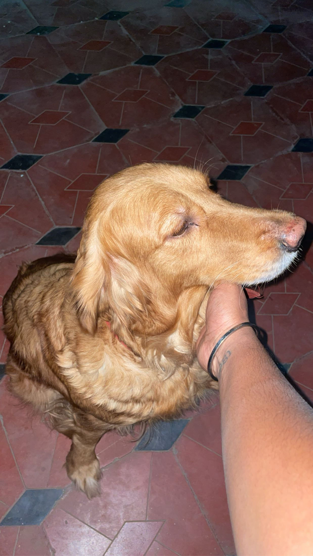 image-9
