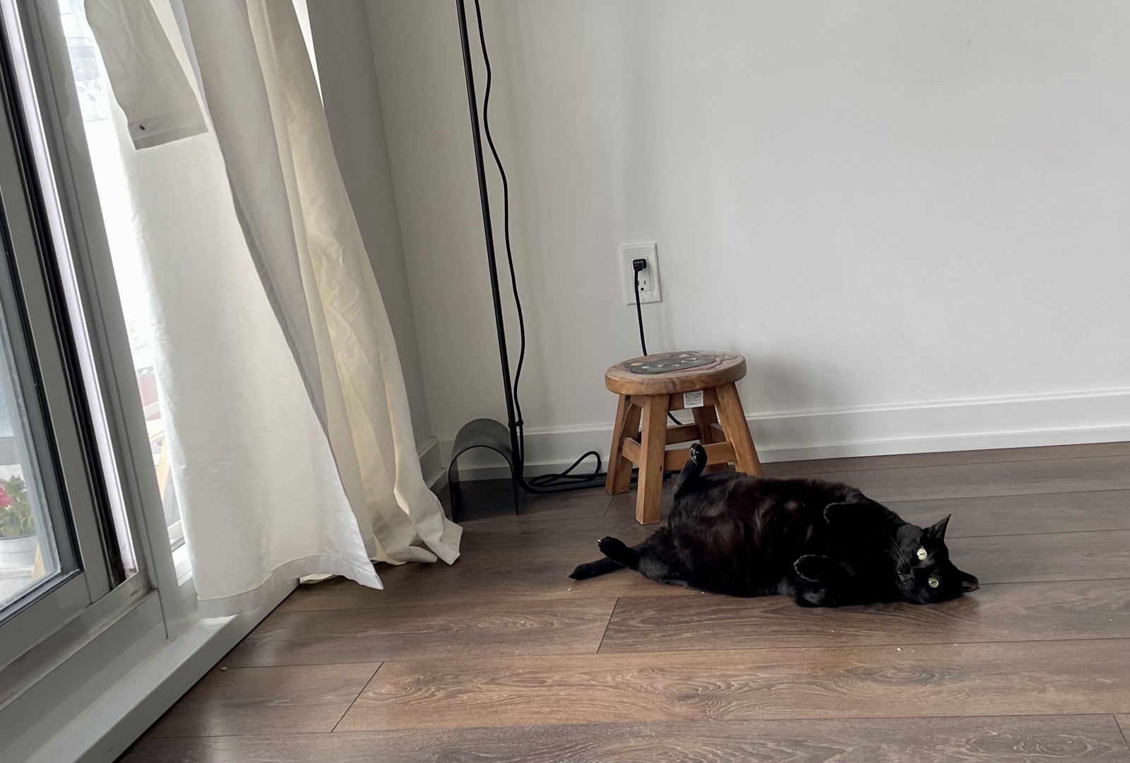 image-18