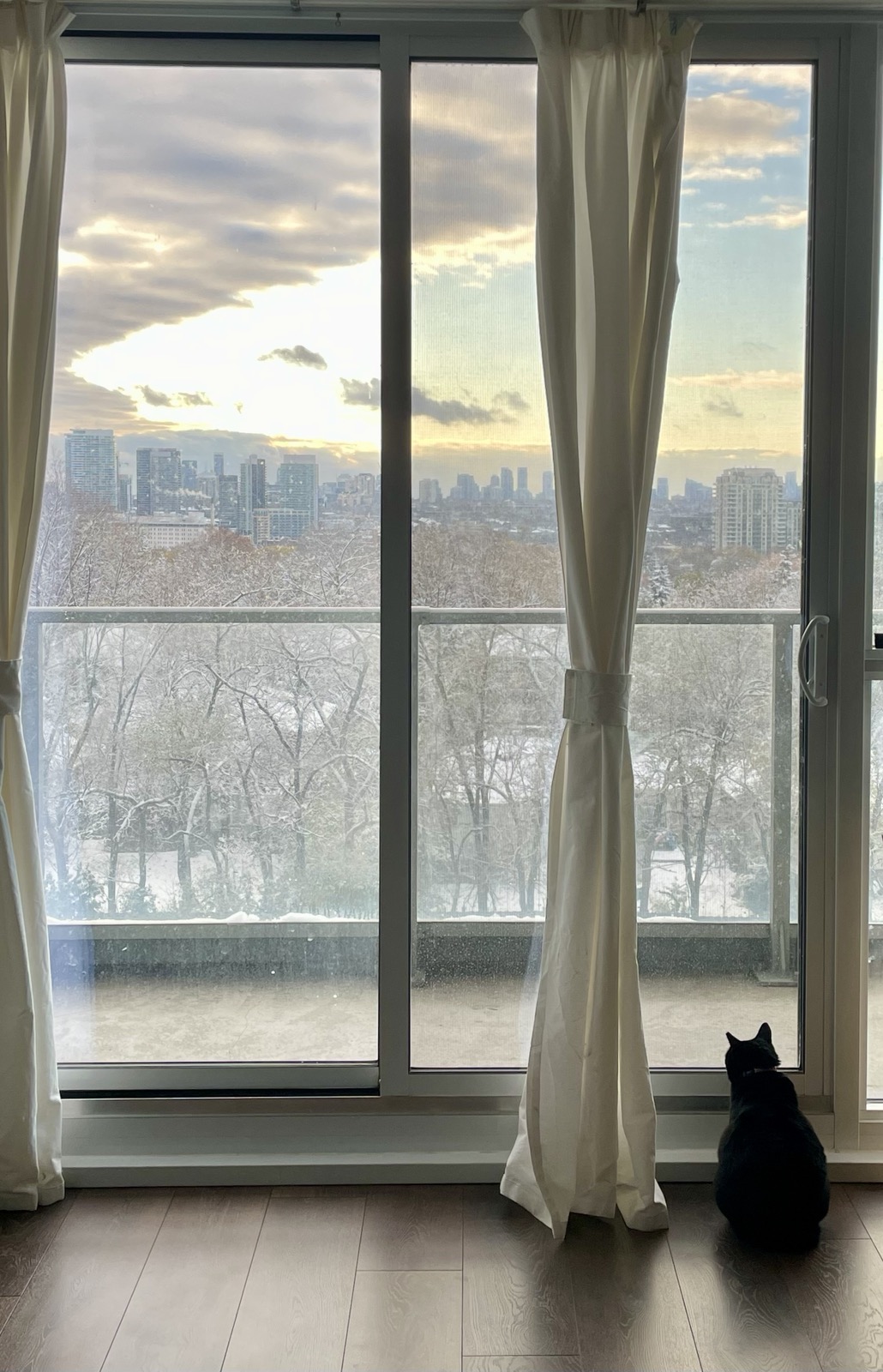 image-16