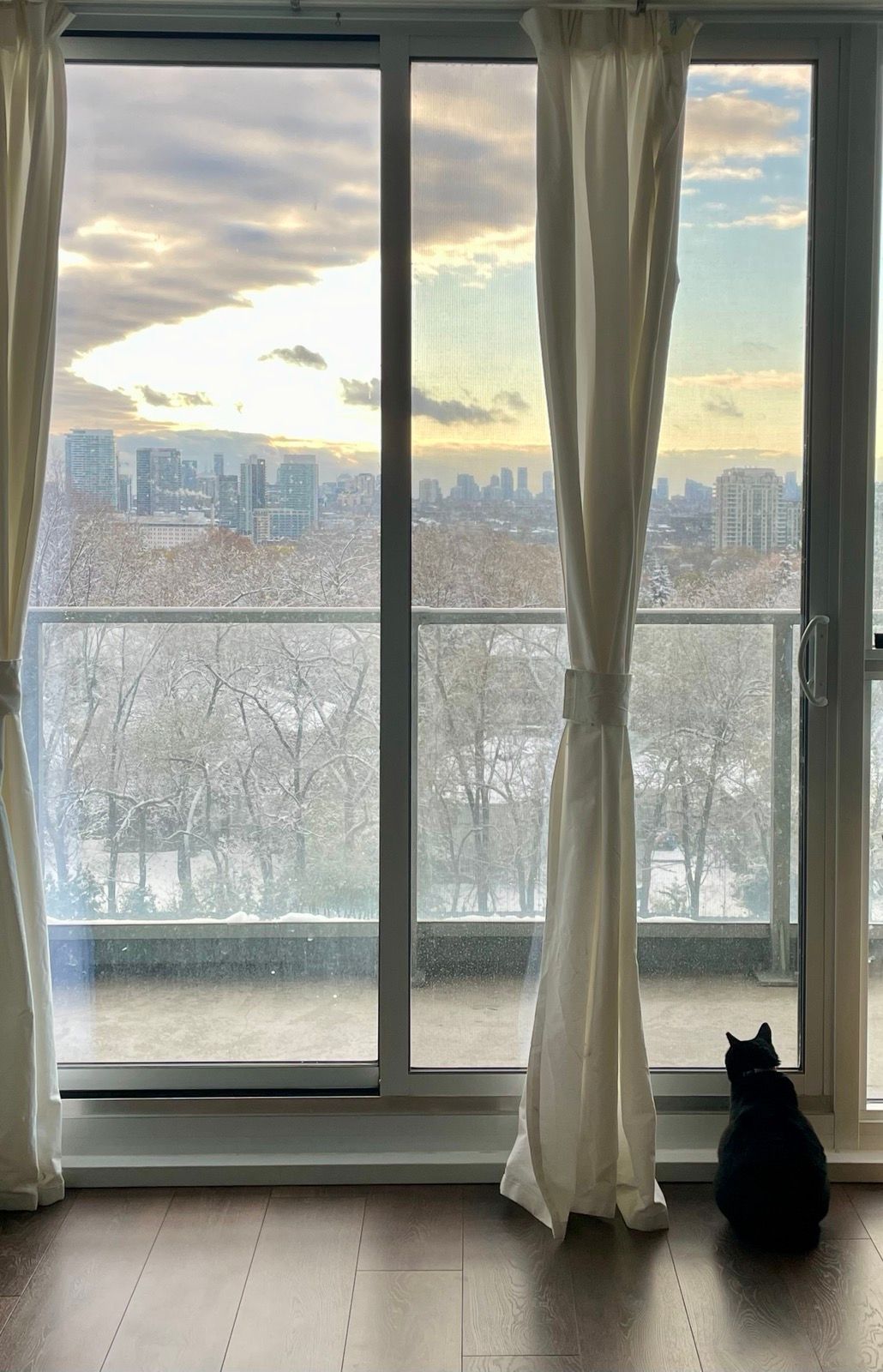 image-16
