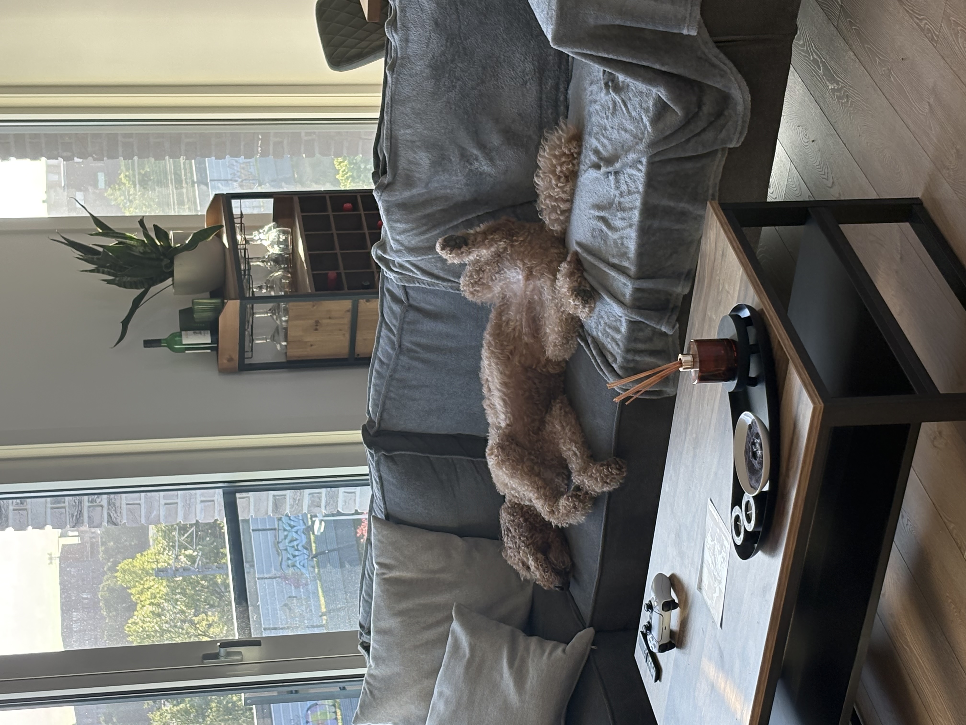 image-13