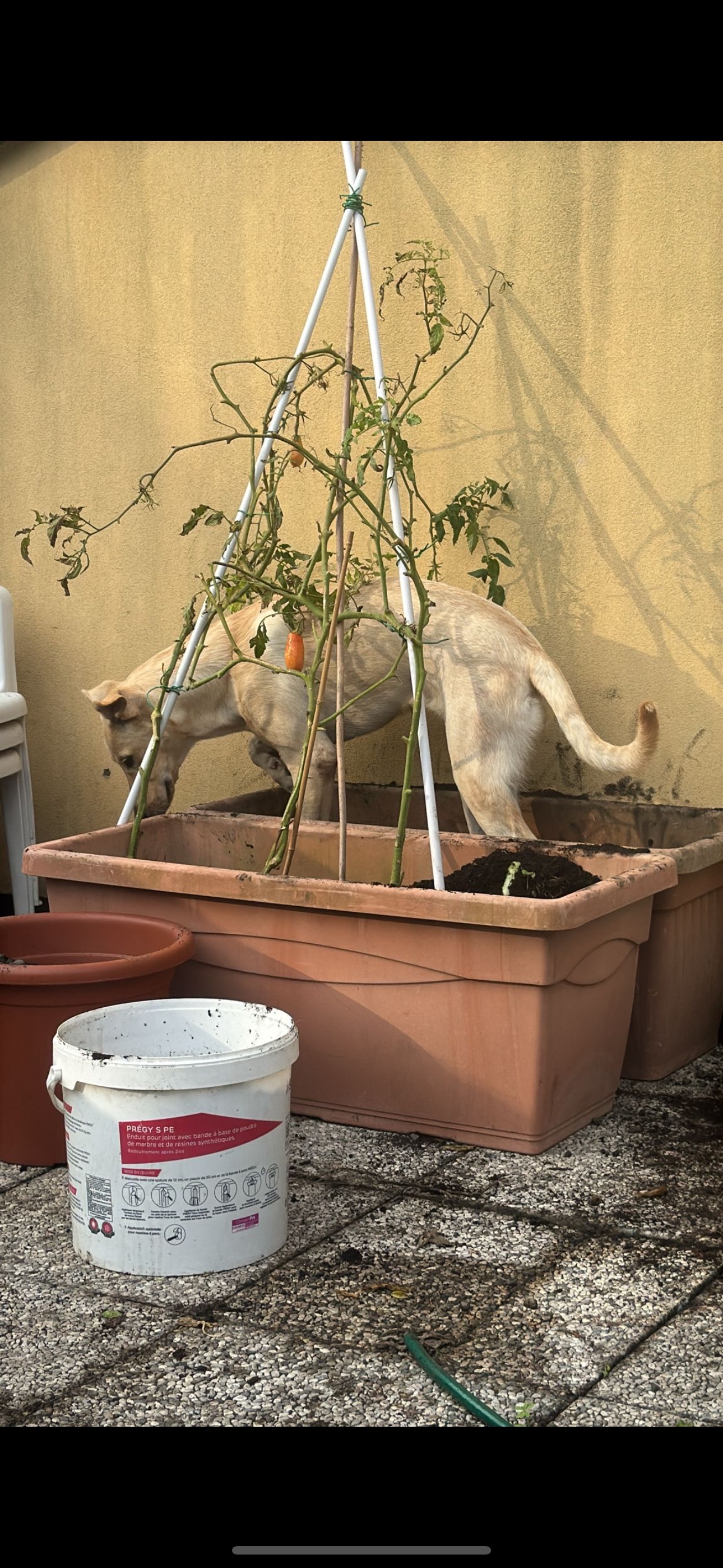 image-19
