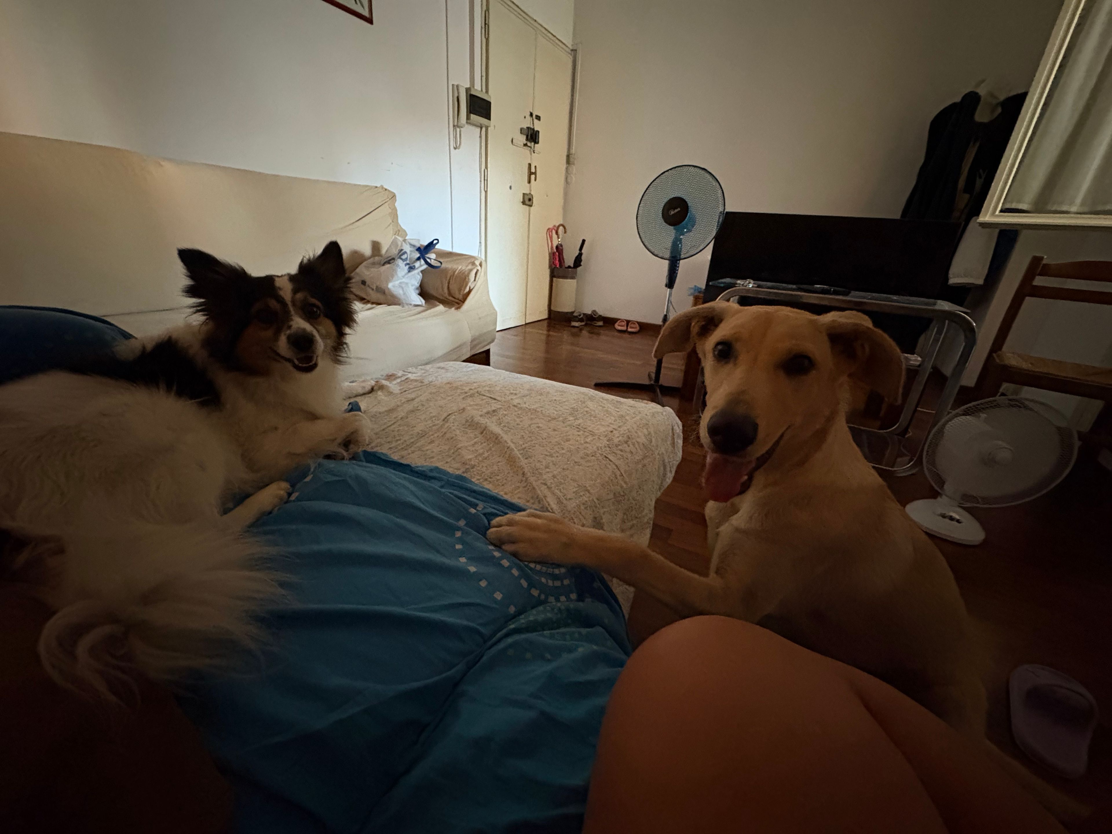 image-10