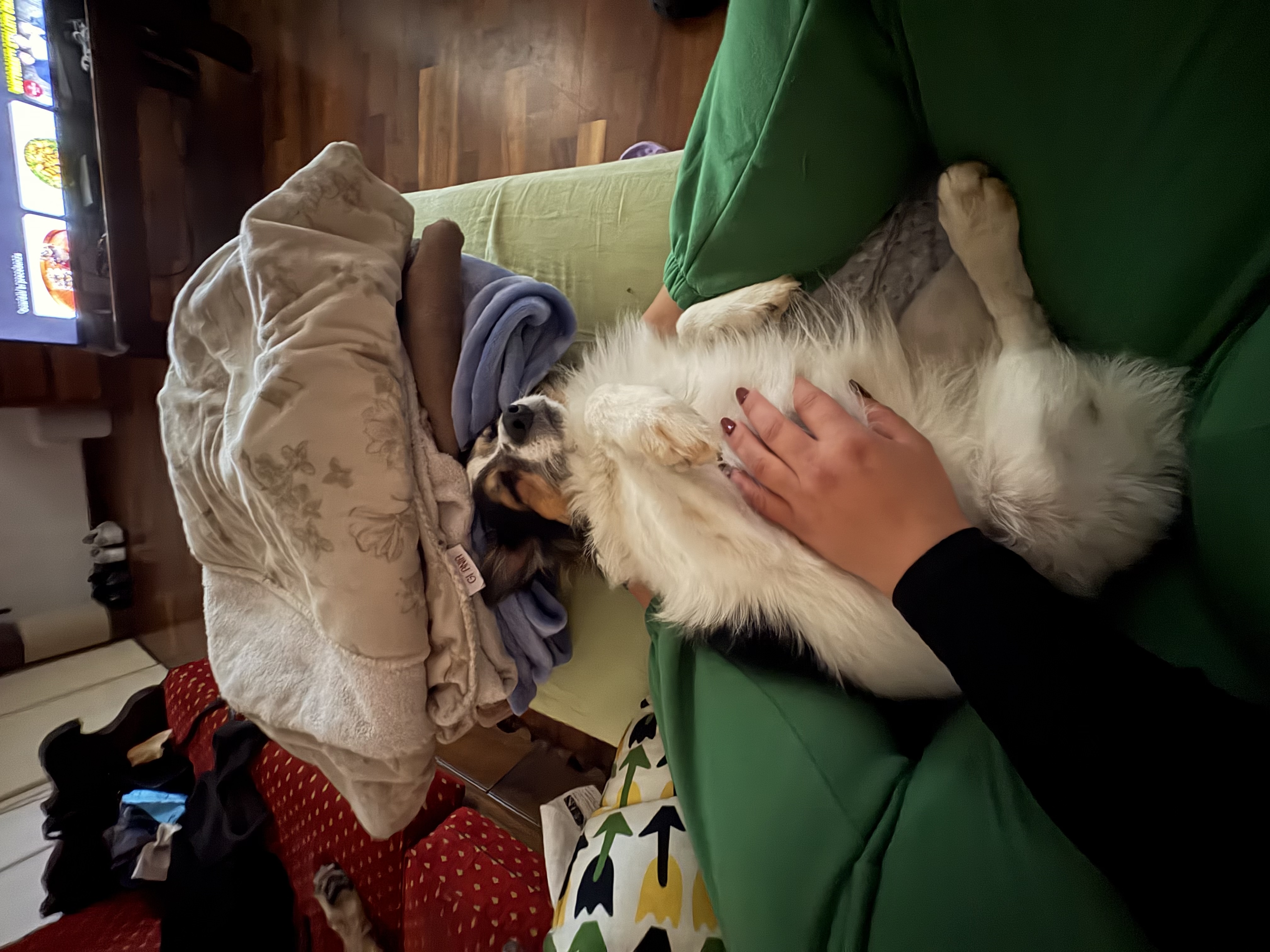 image-9