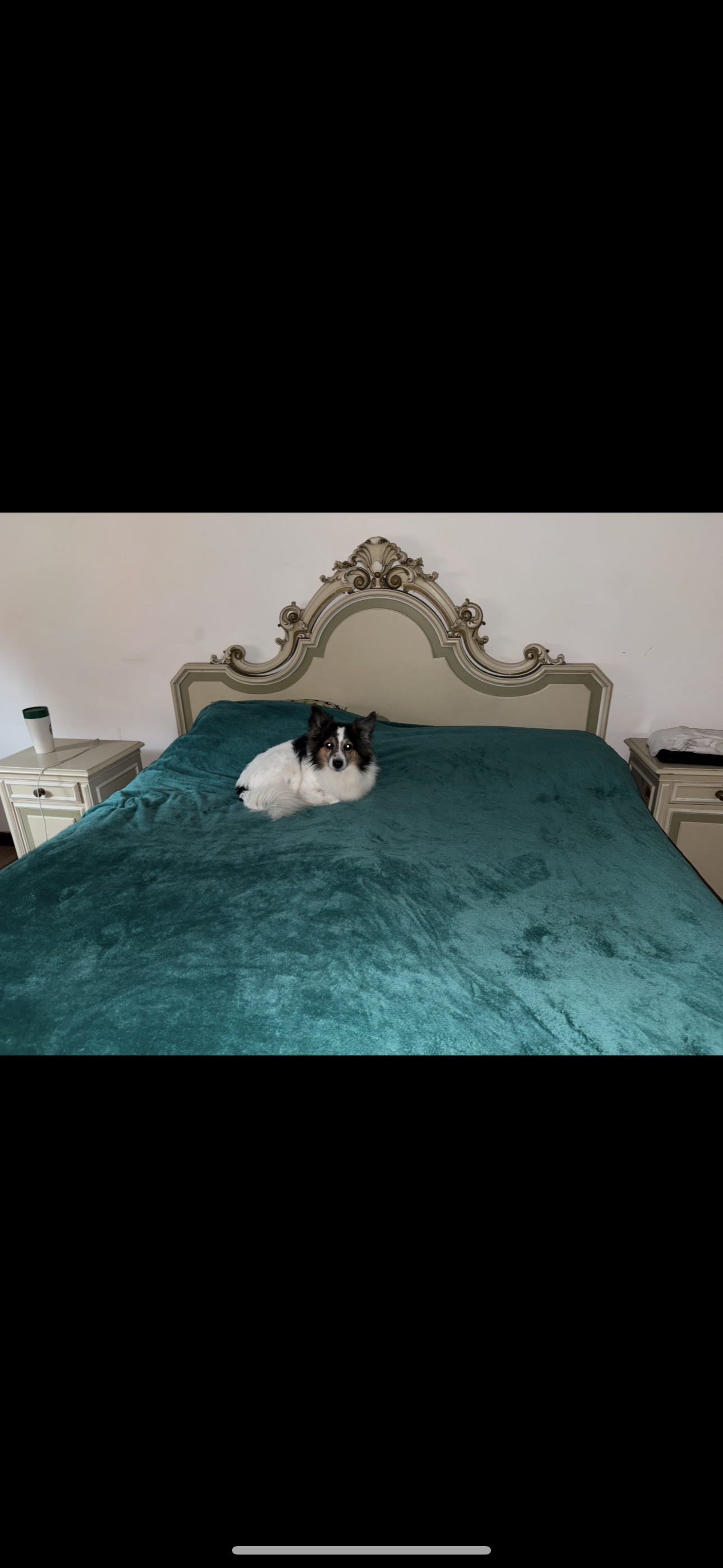 image-17