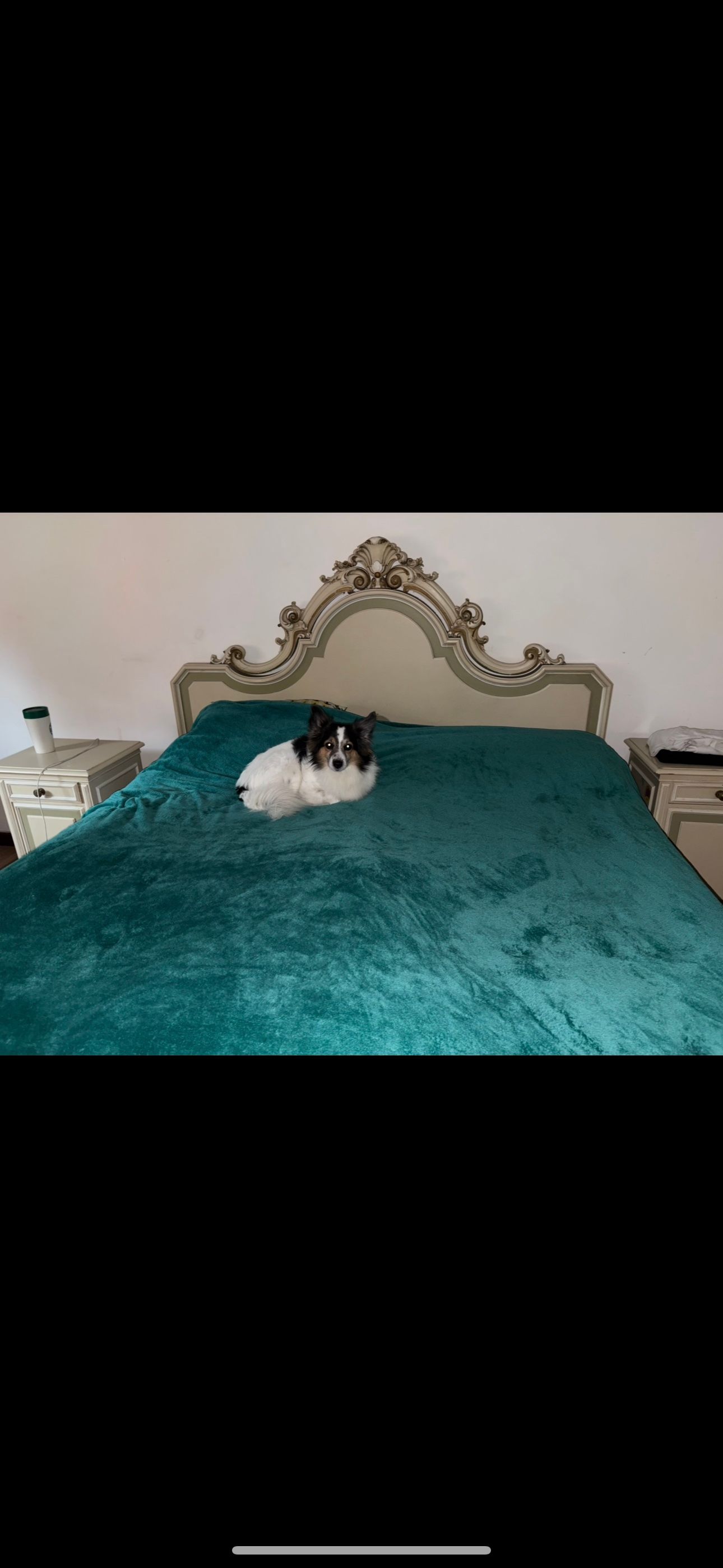 image-17