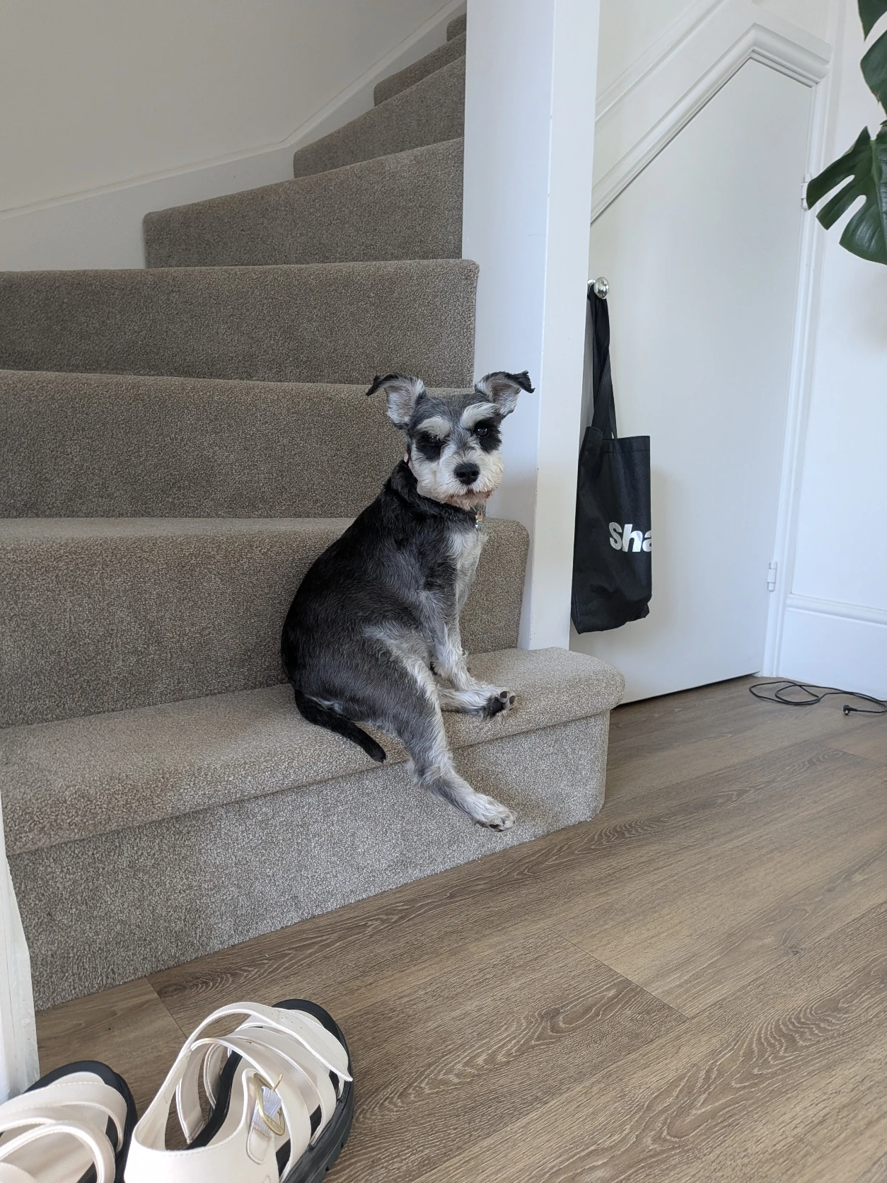 image-11