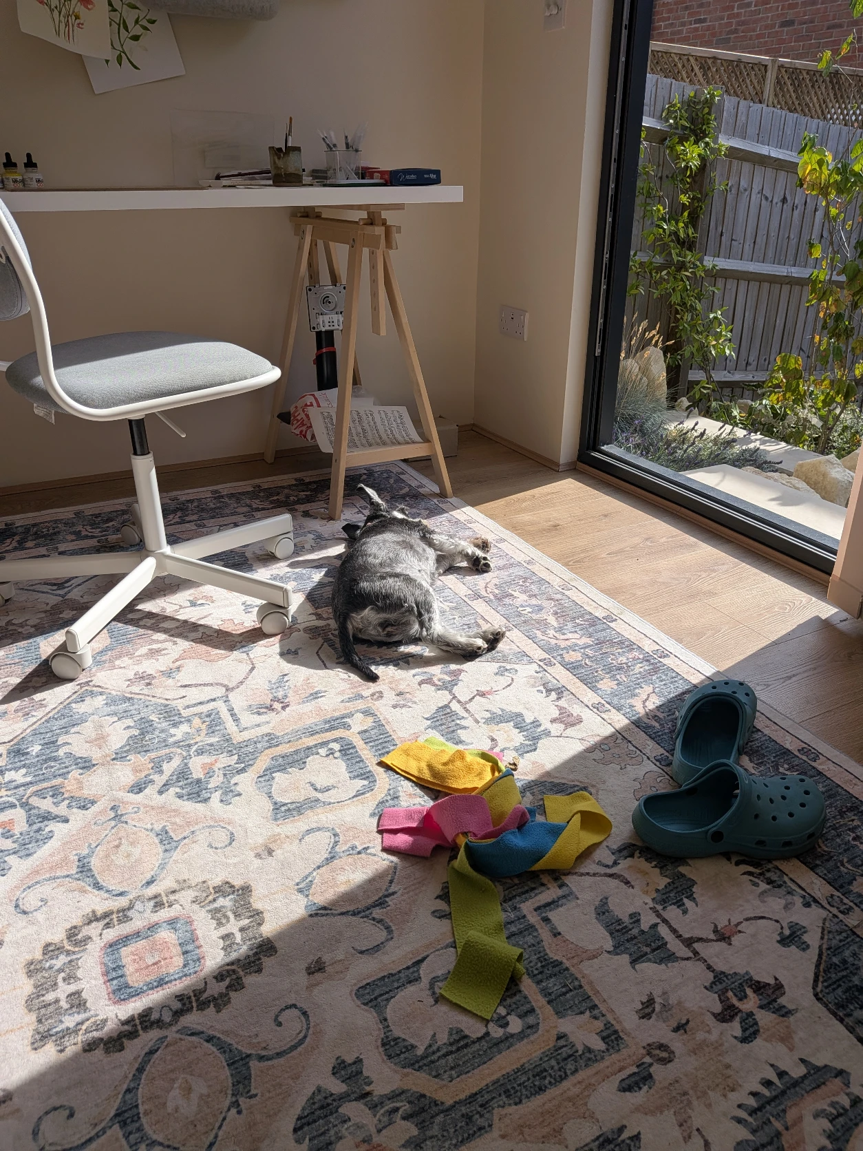image-10