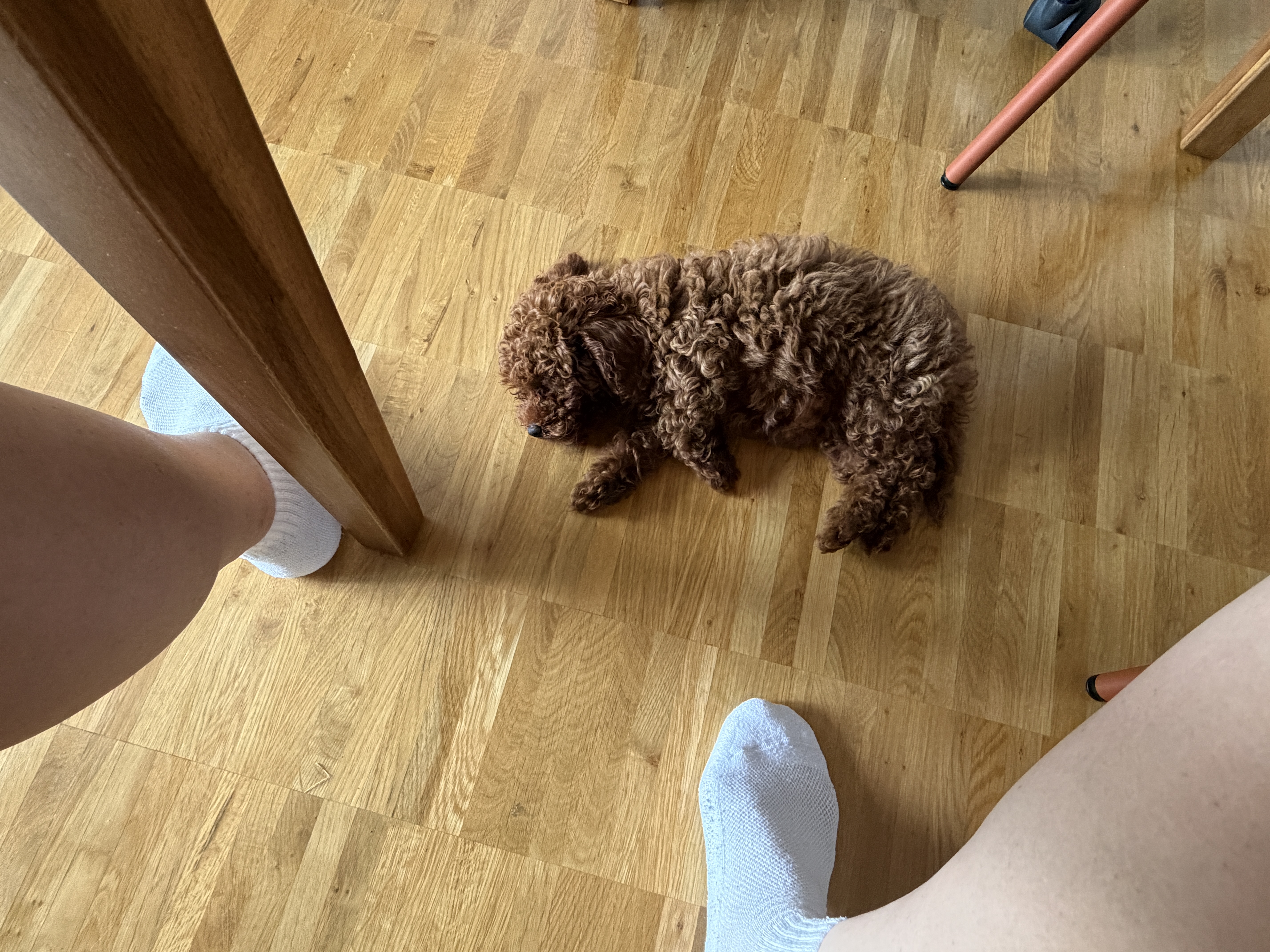 image-11