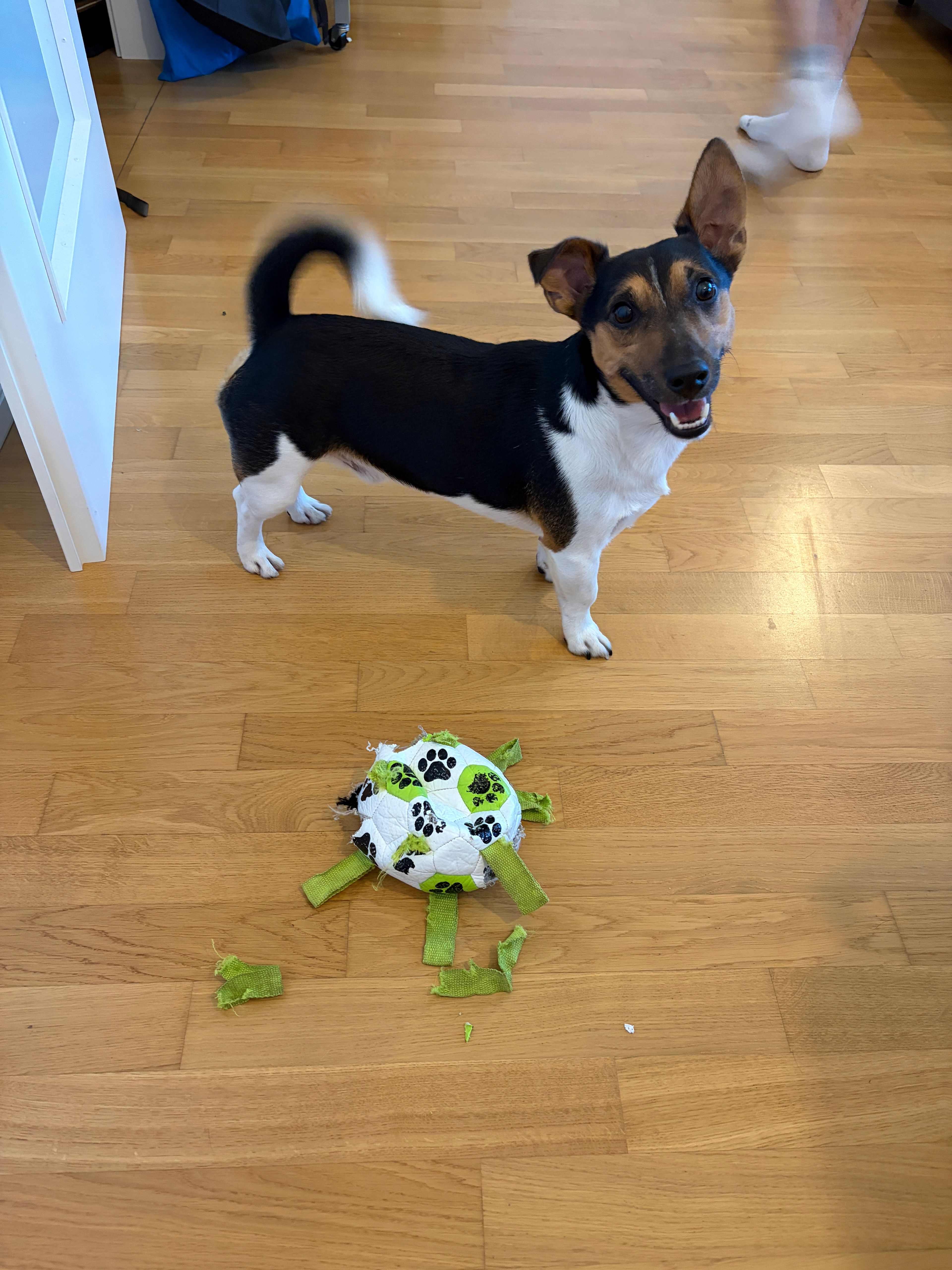 image-15