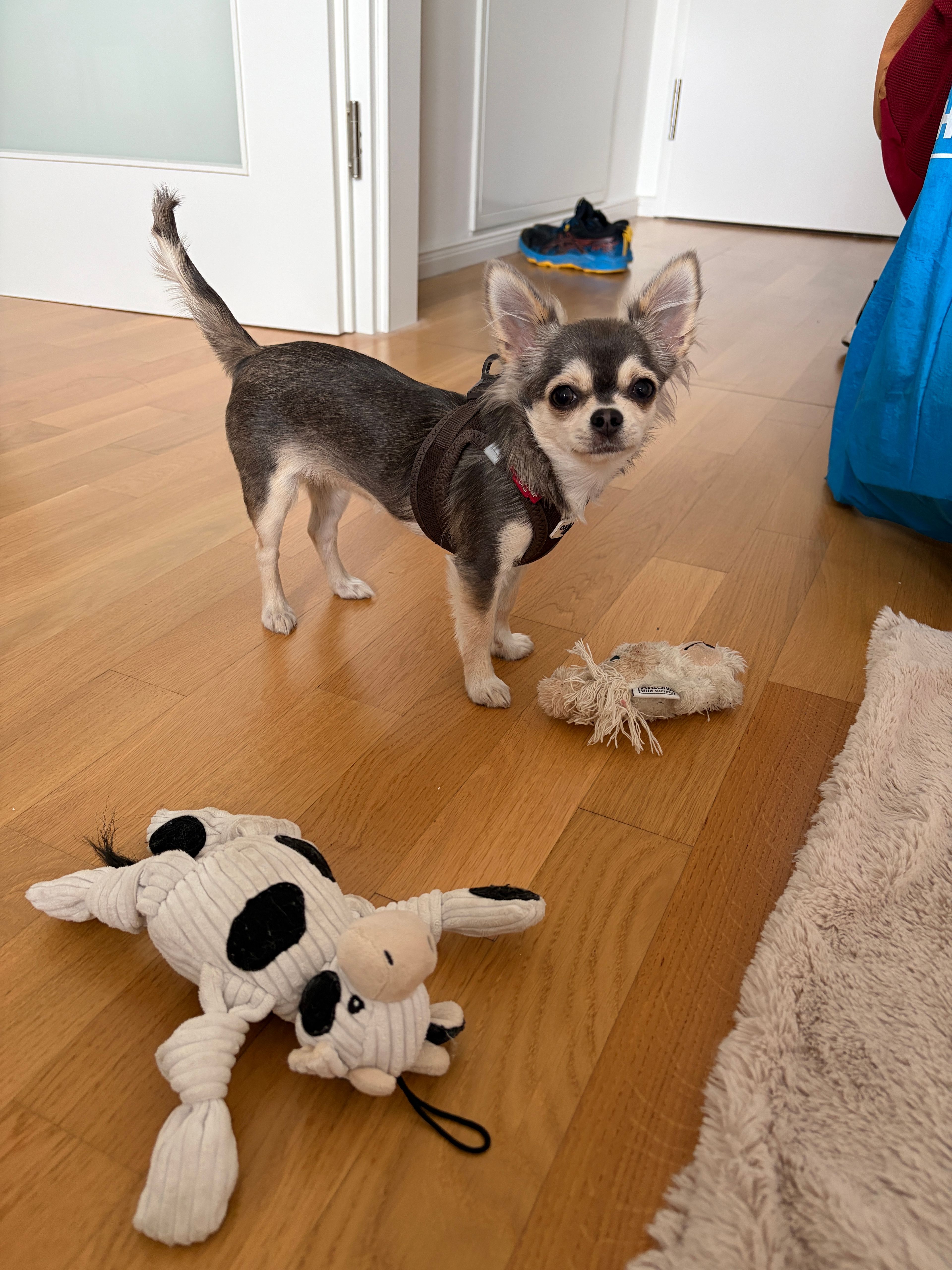 image-11