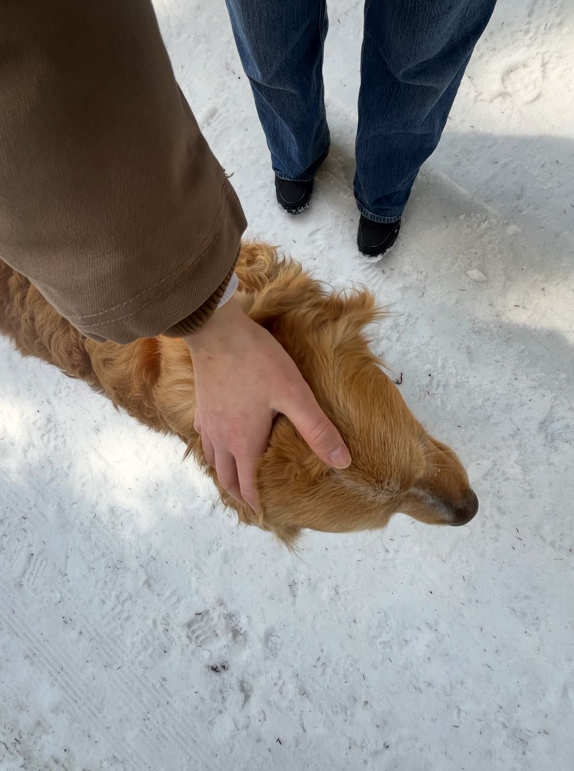 image-9