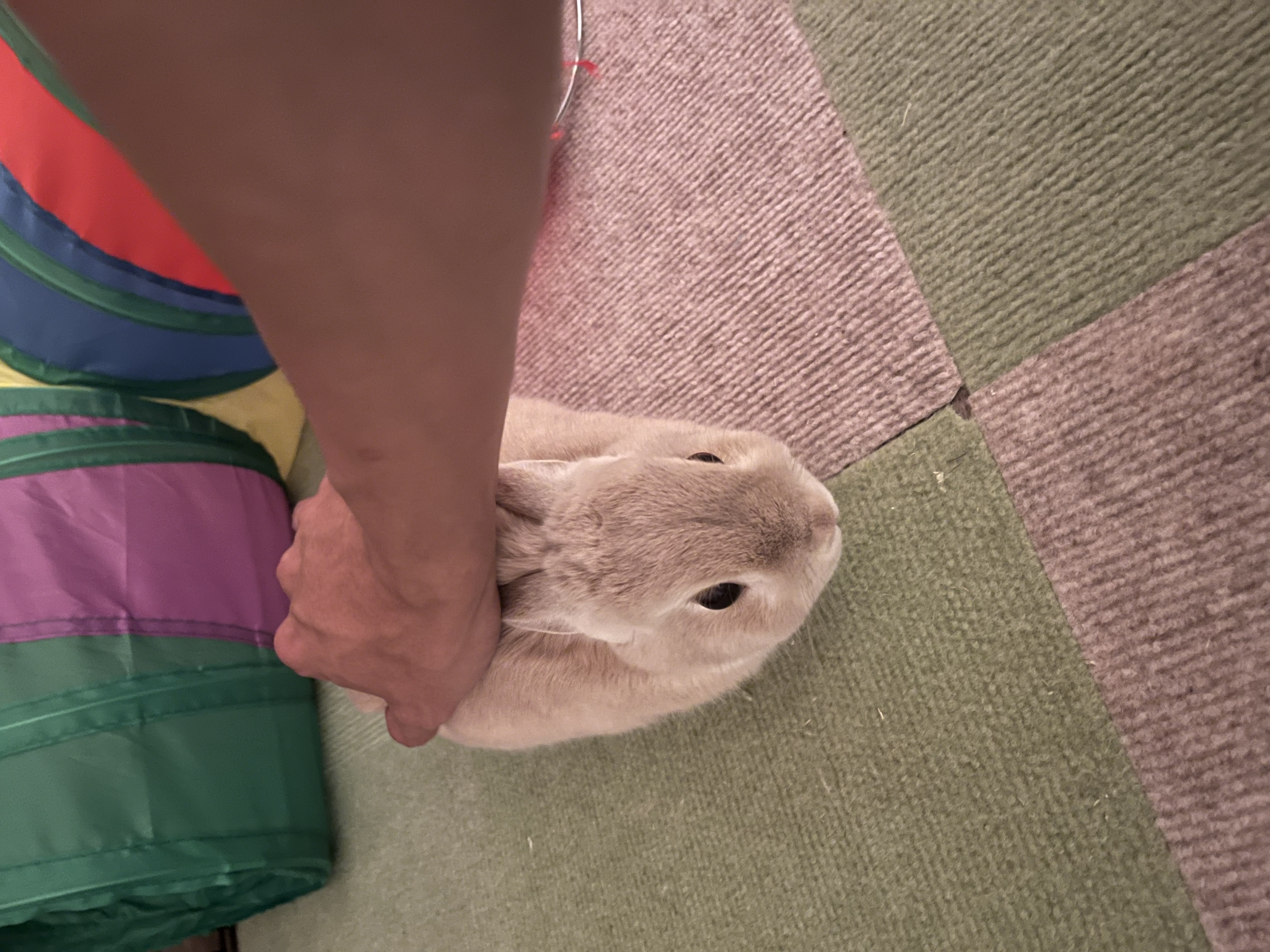 image-7