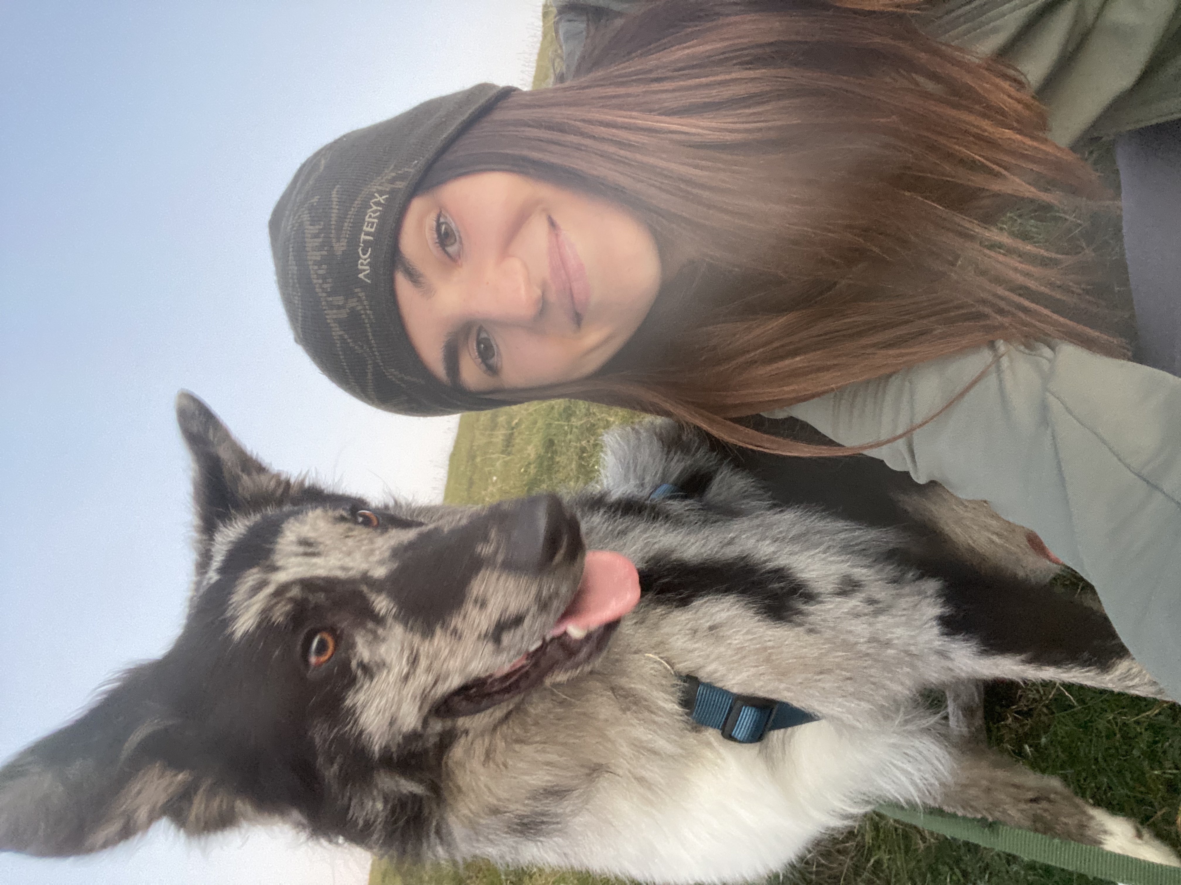 image-8