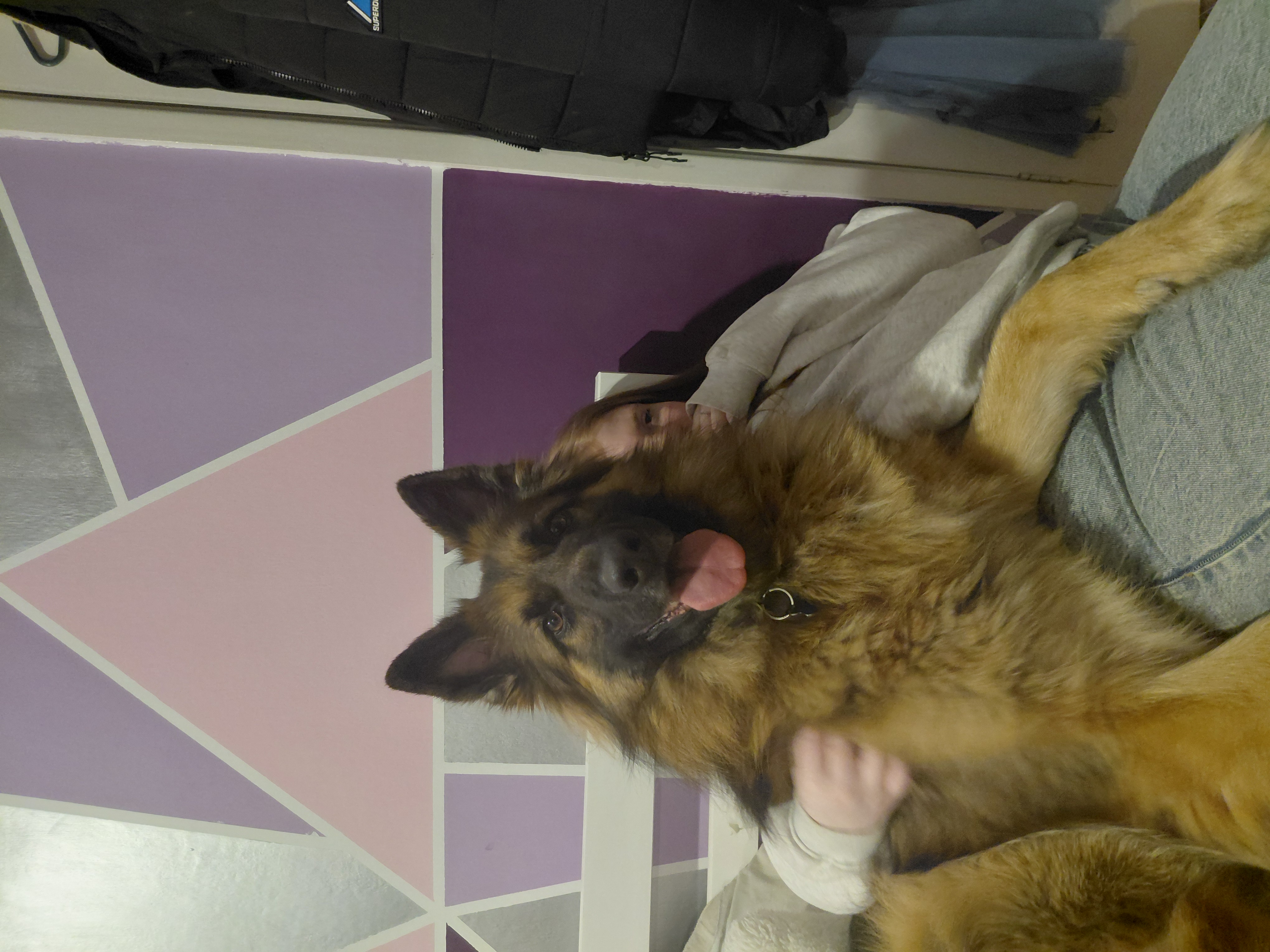 image-7