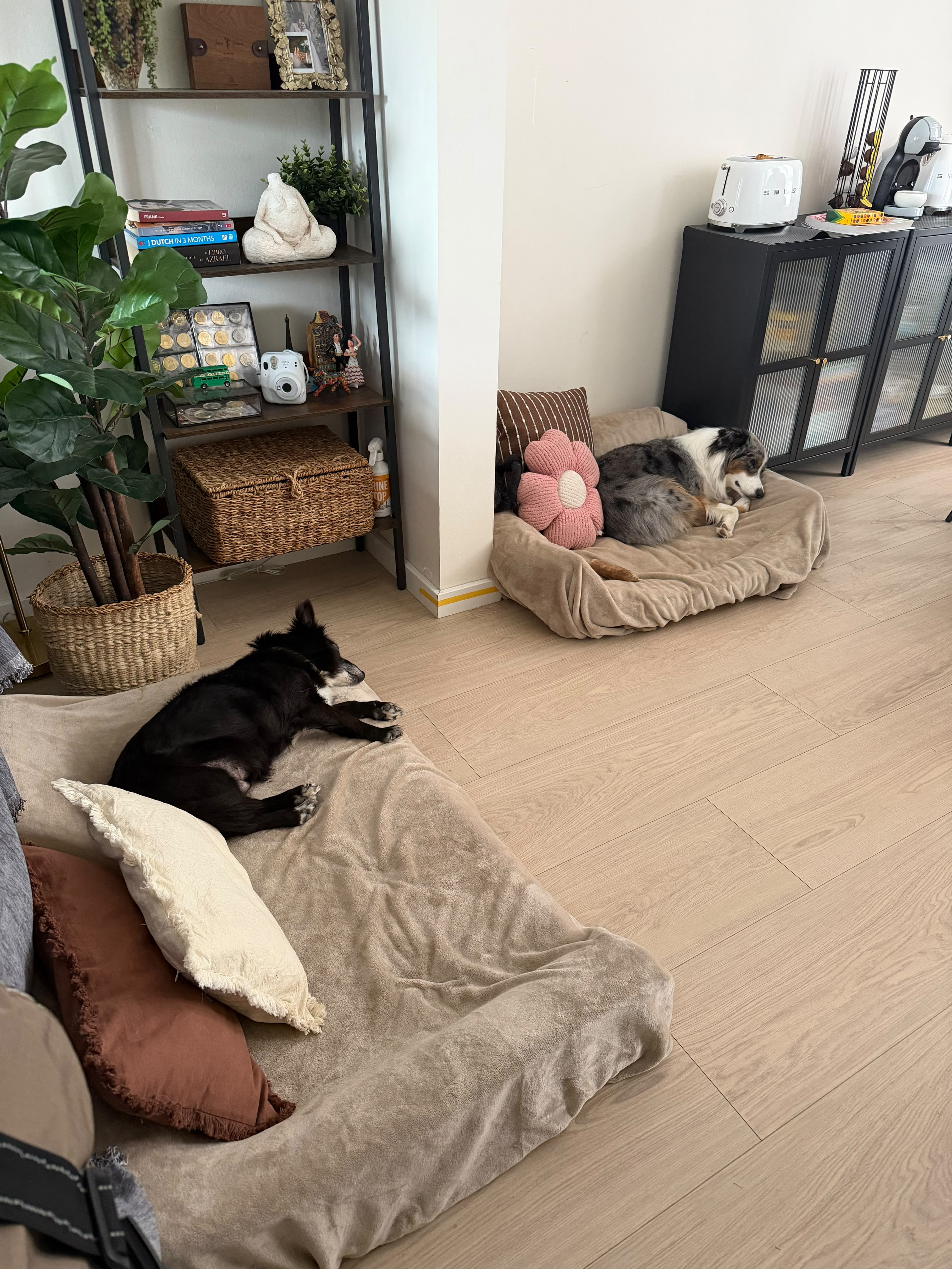 image-17