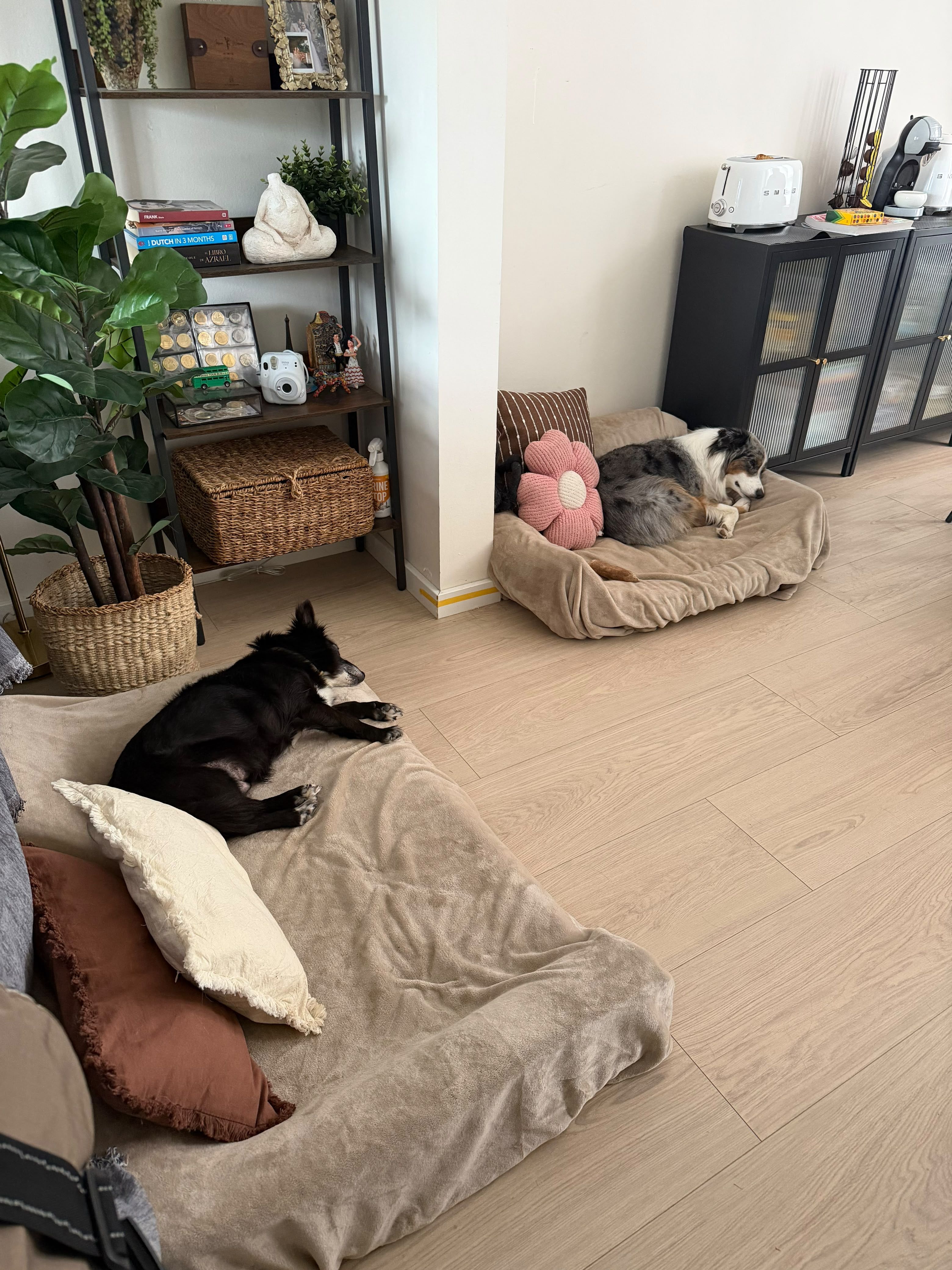 image-17