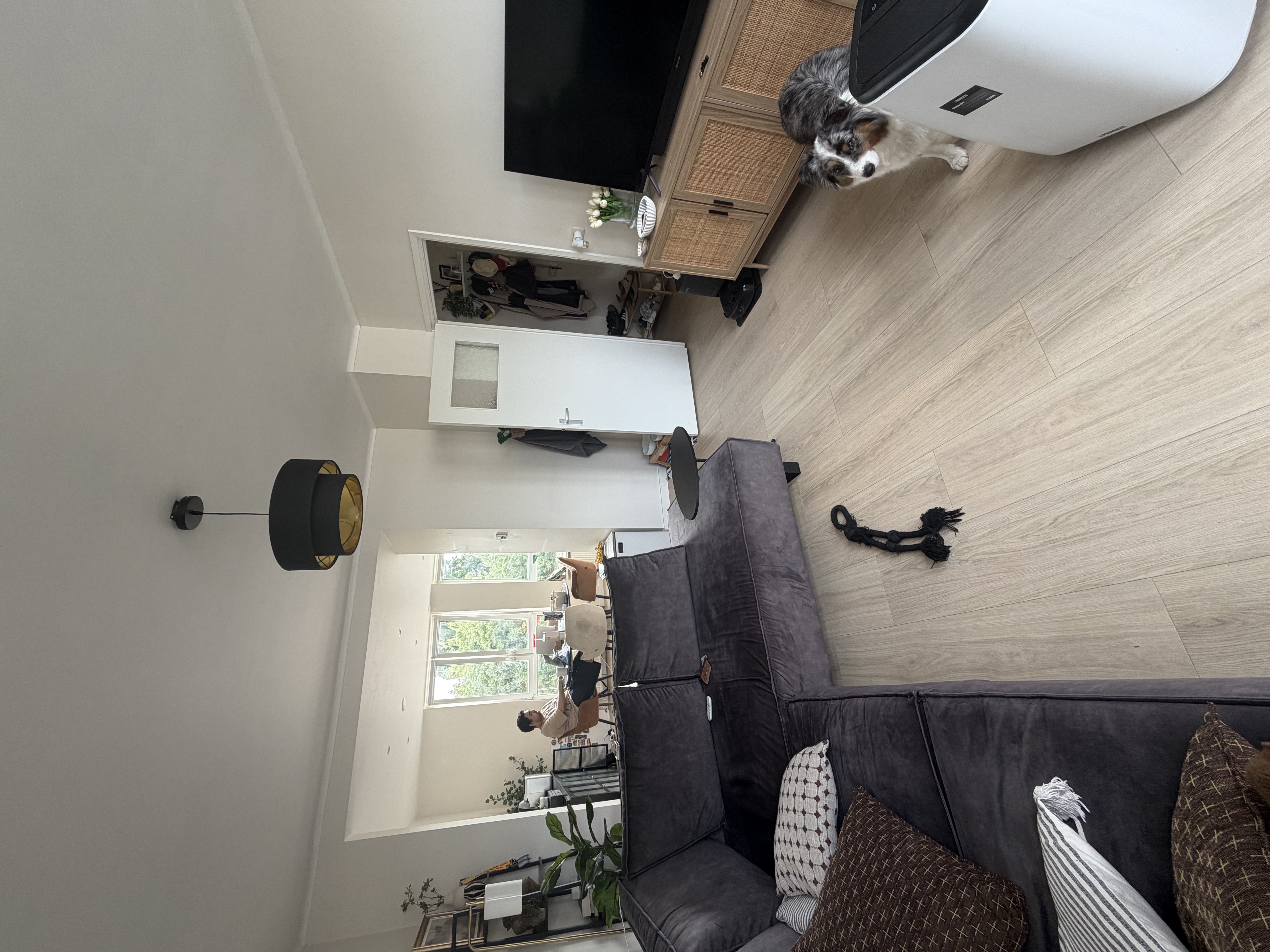 image-15