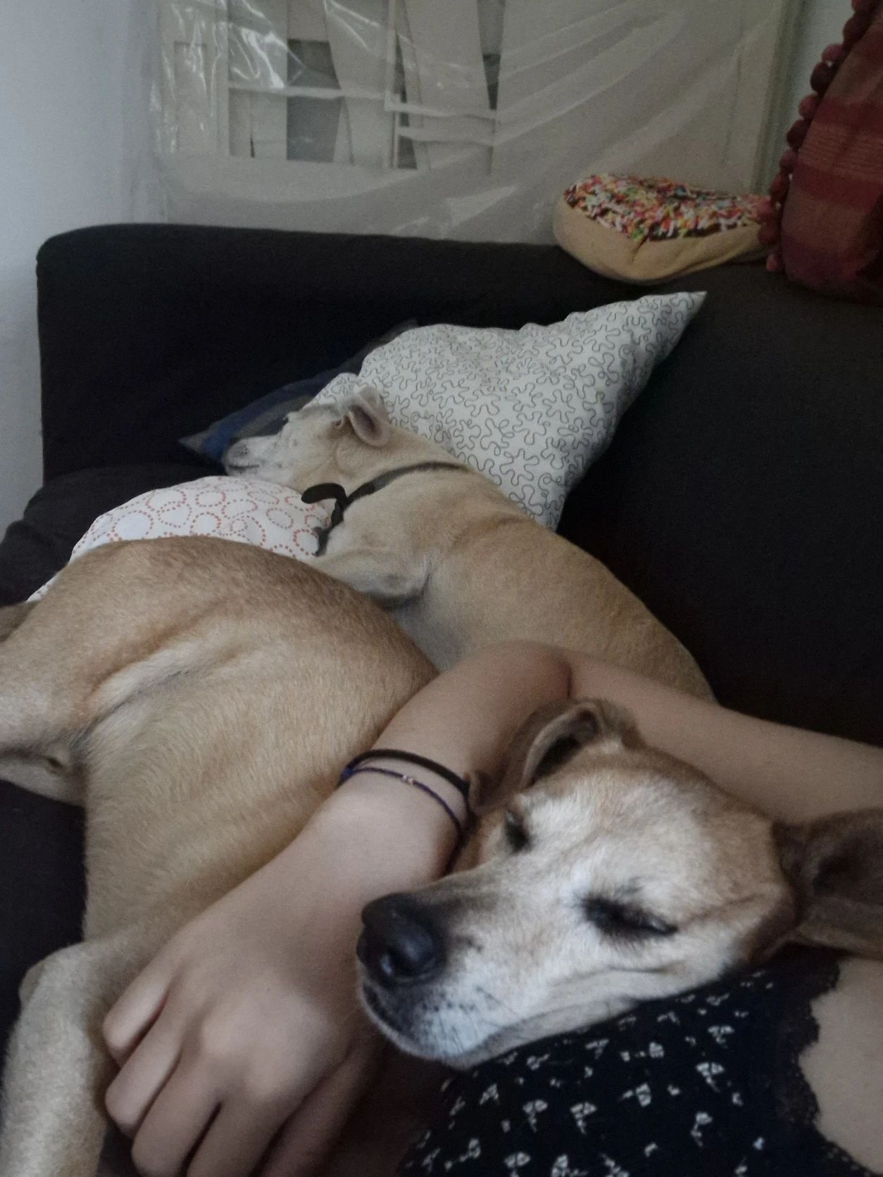 image-6