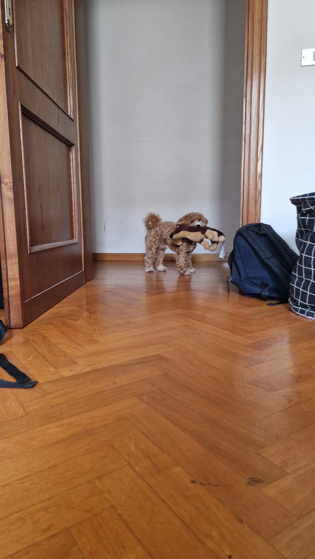 image-9