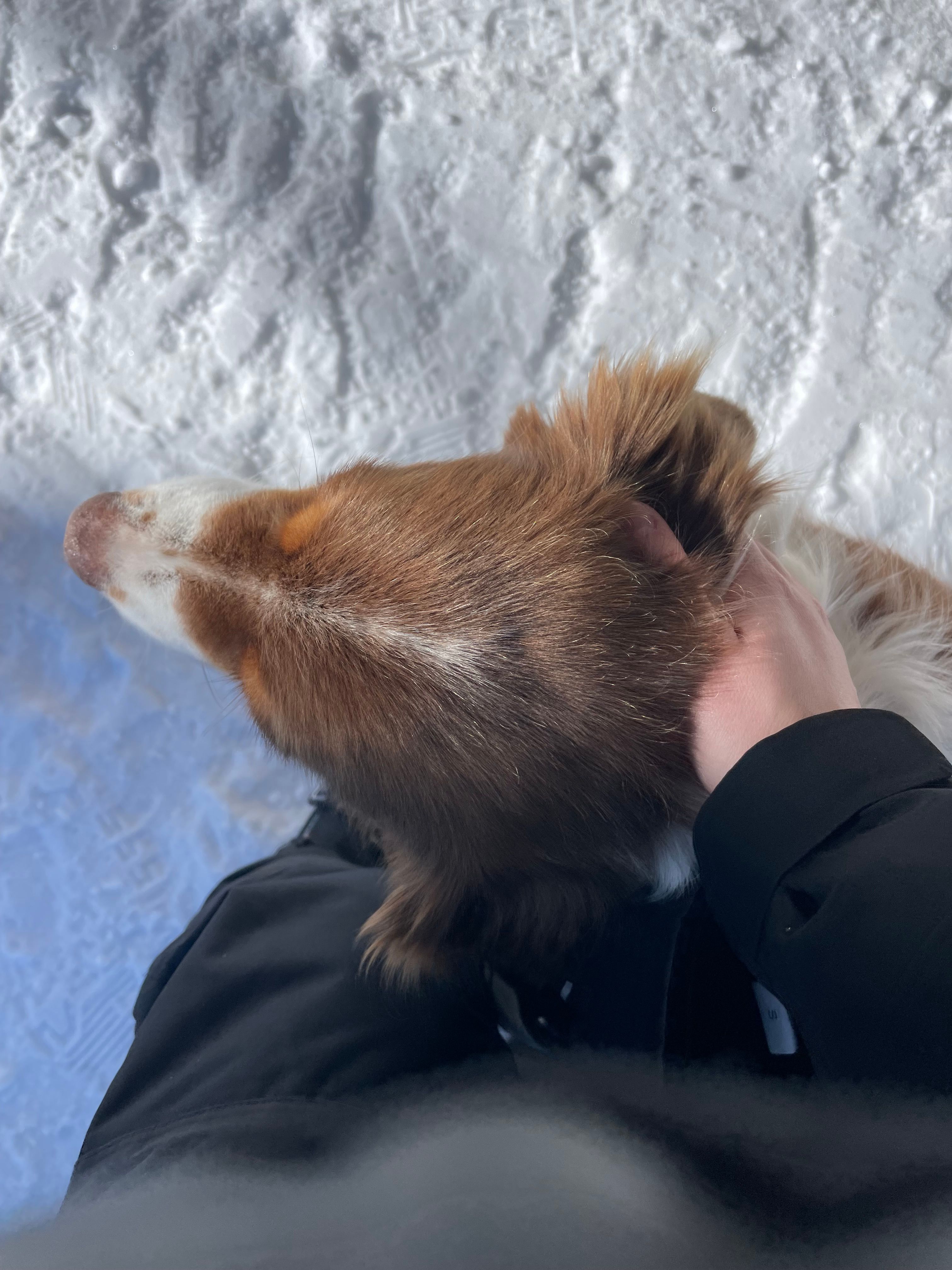 image-7
