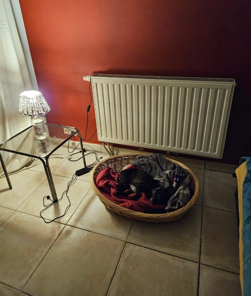 image-13