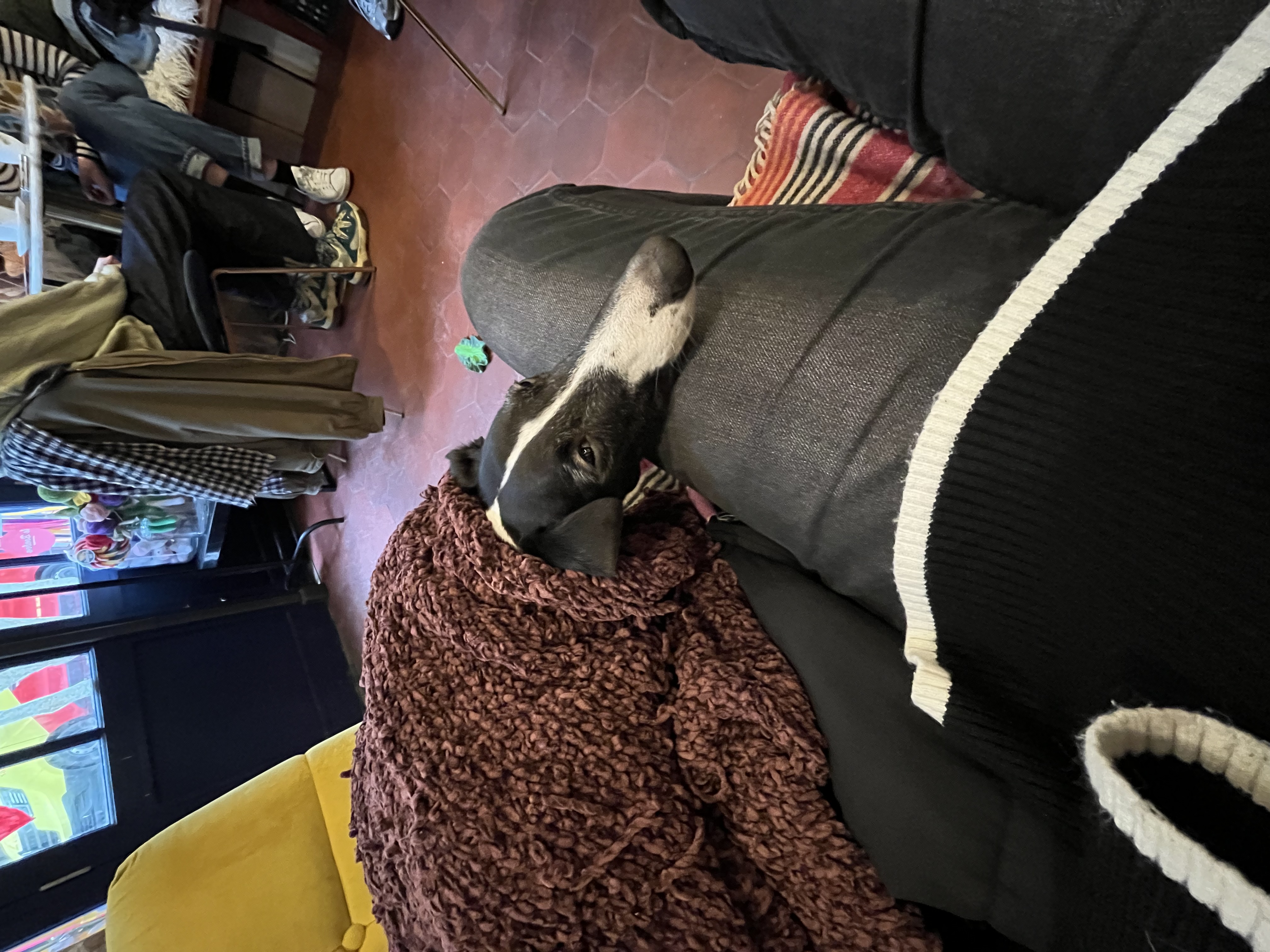 image-7