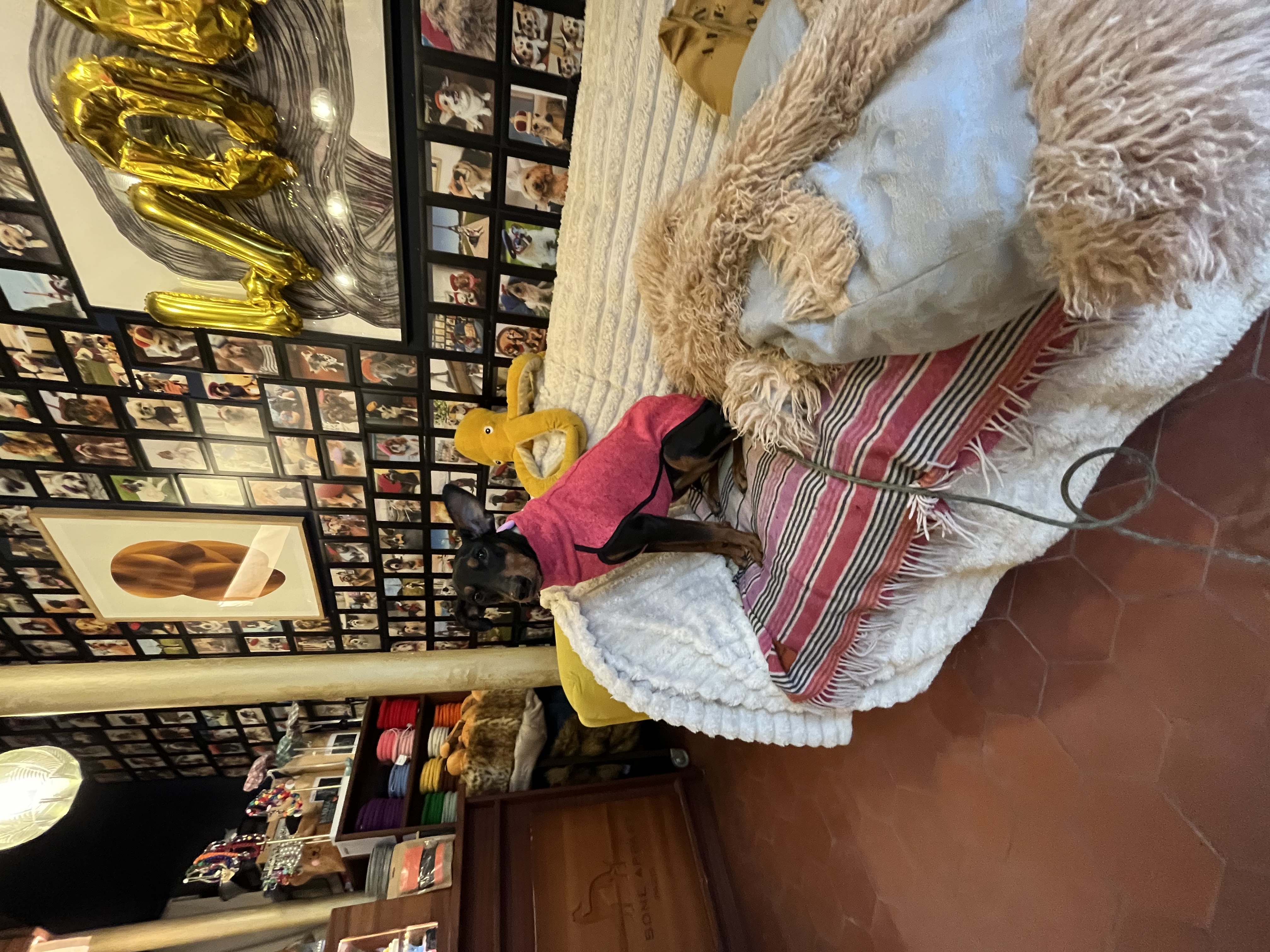 image-13